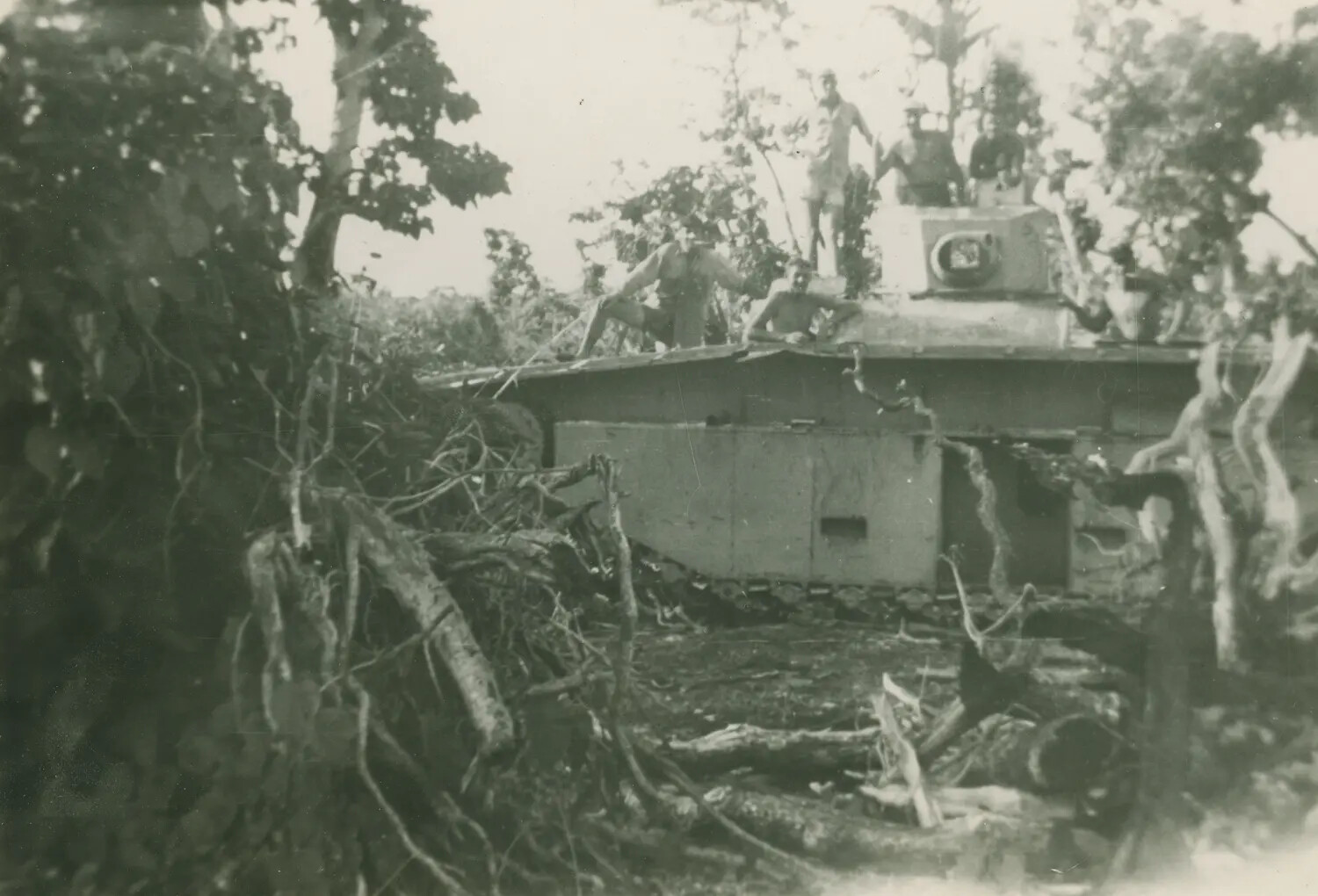 M3 Medium Tank Crashing Through Jungle Terrain, Pacific Theater, WWII