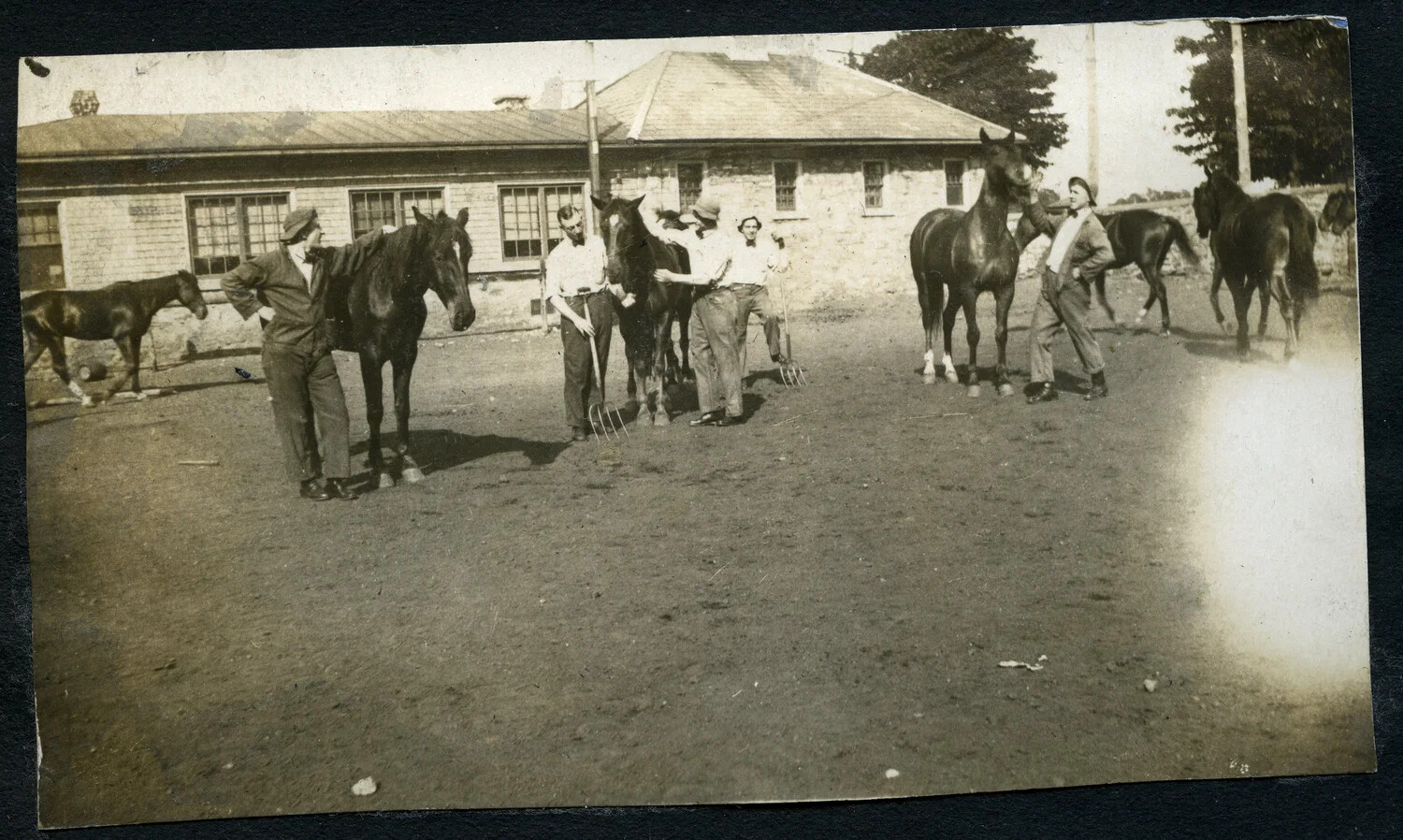 Photo Album Snapshot, 1920s Era: Men and Horses at Stable Yard, Likely NY Mounted Police