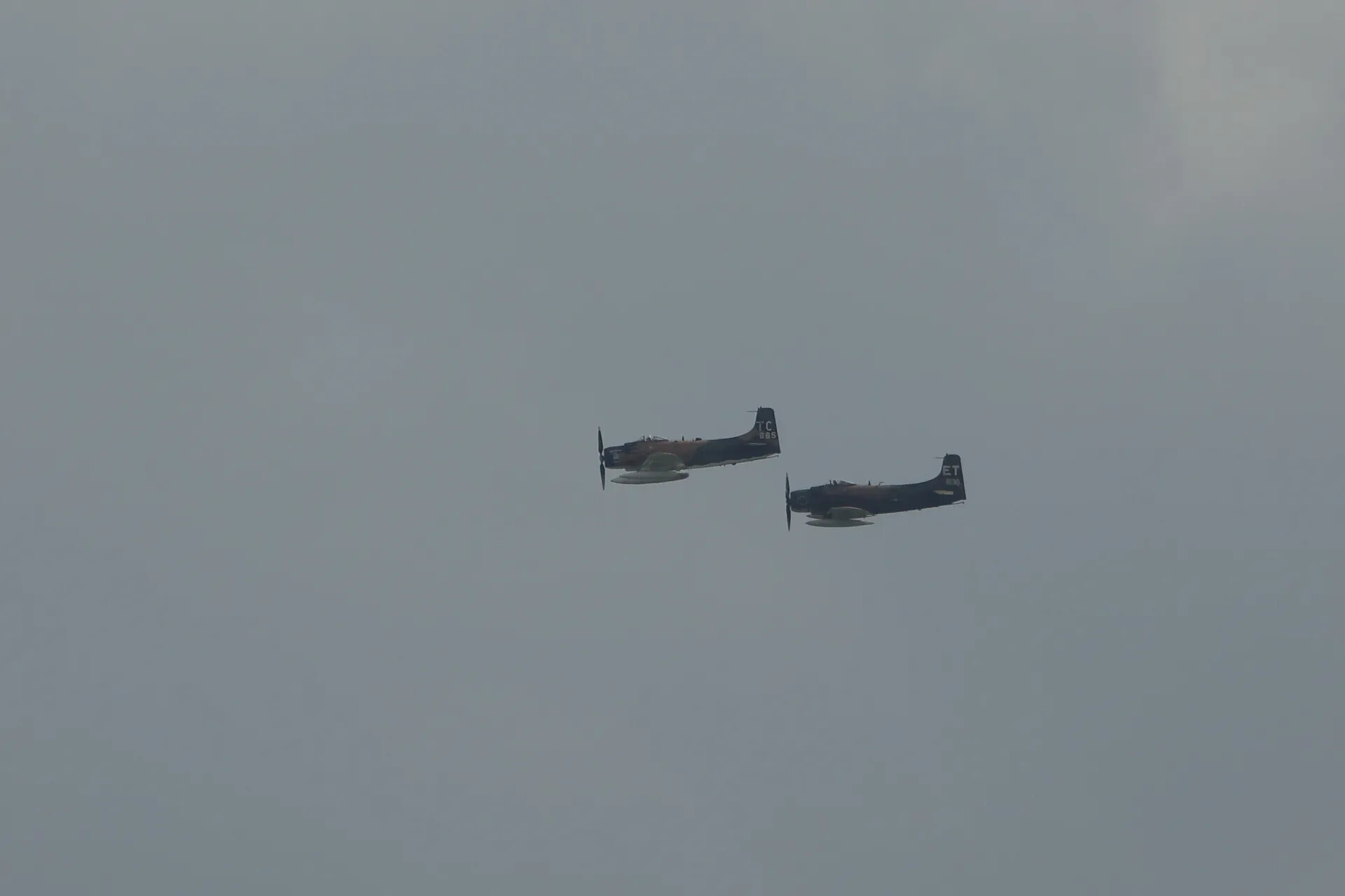 Two A-1 Skyraiders in Formation Flight, Warbird Event