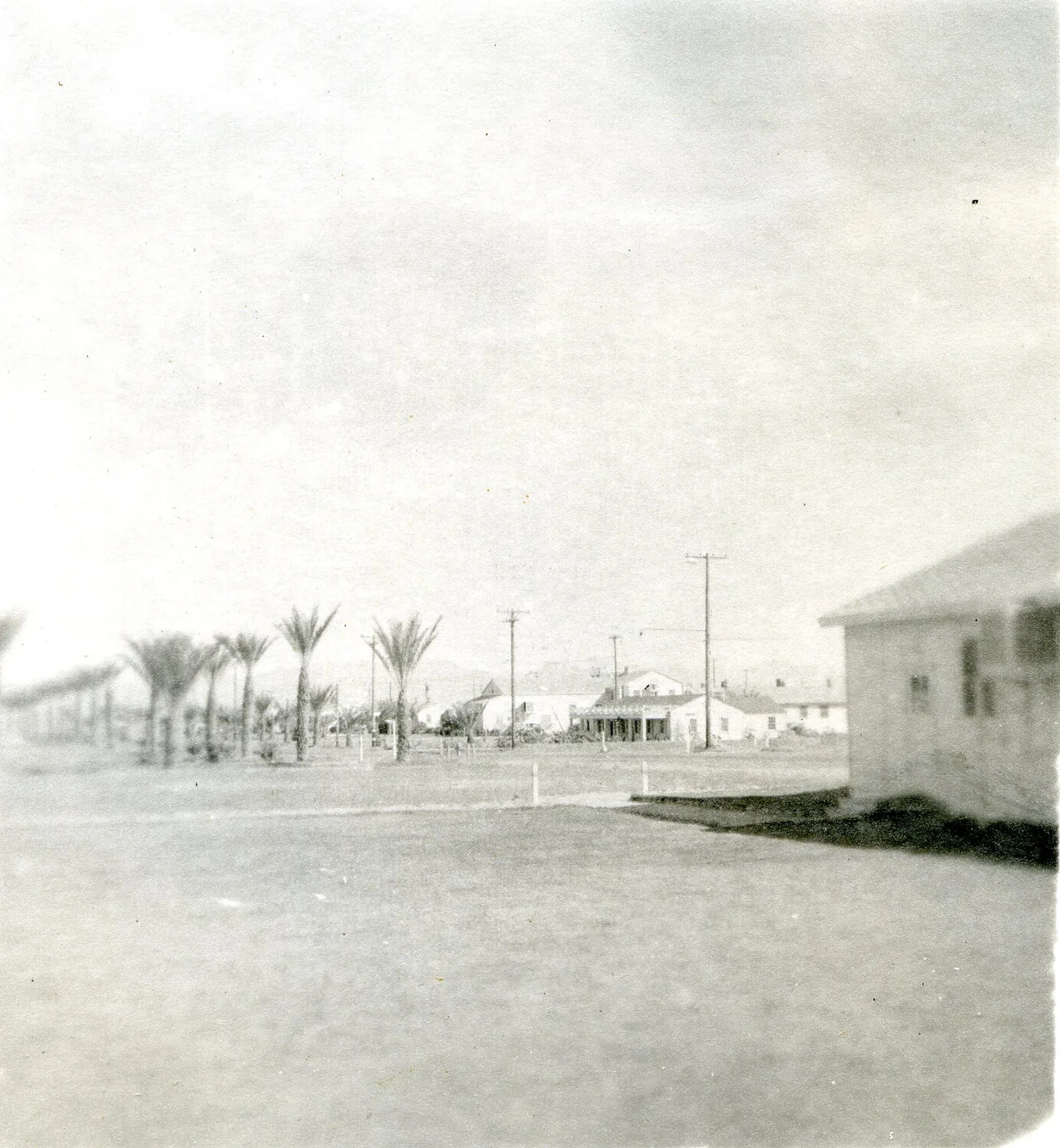 Military Base Barracks and Parade Ground with Palm Trees, WWII Photo Album (345th Bombardment Group Collection)