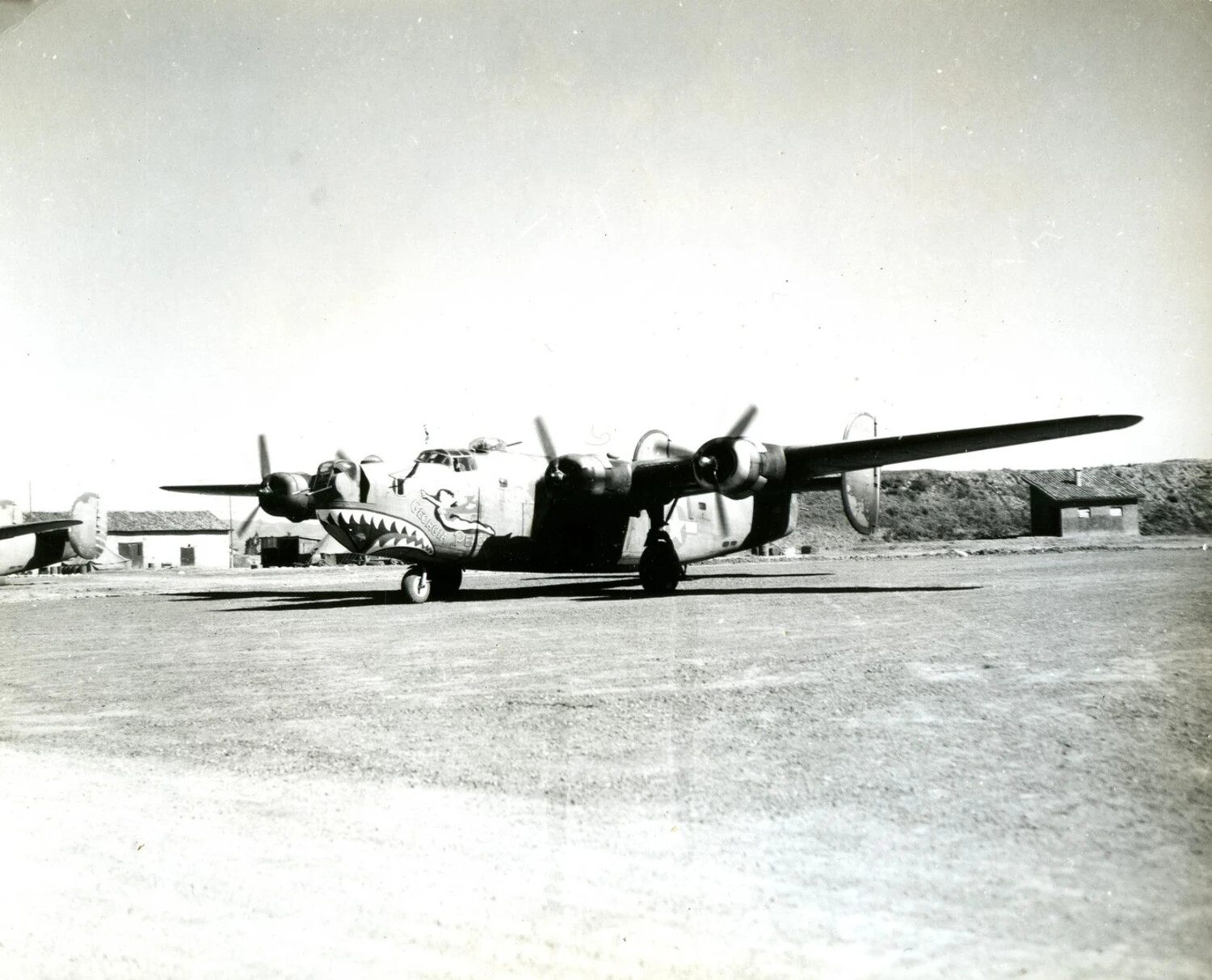 Consolidated B-24 Liberator with Shark-Mouth Nose Art, China-Burma-India Theater