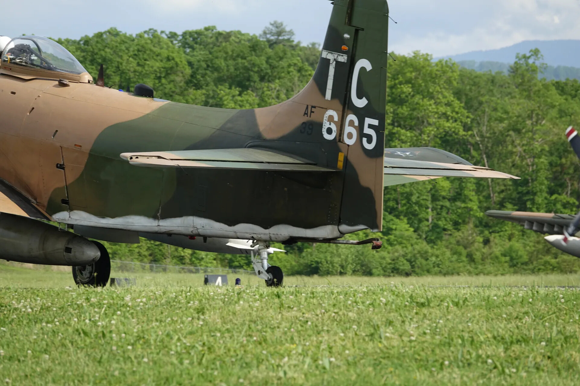 Tail Section of Douglas A-1 Skyraider, Serial 39-665, Tail Code 'TC'