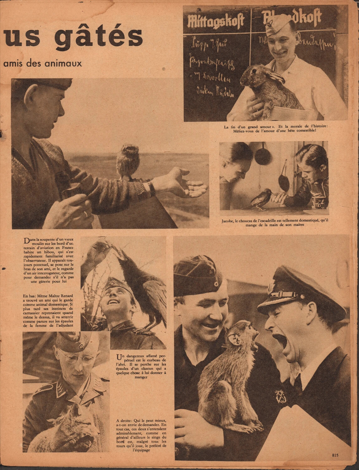 Der Adler Magazine, French Edition, p.815: '...us gates, amis des animaux' -- German Servicemen's Pets, Continued