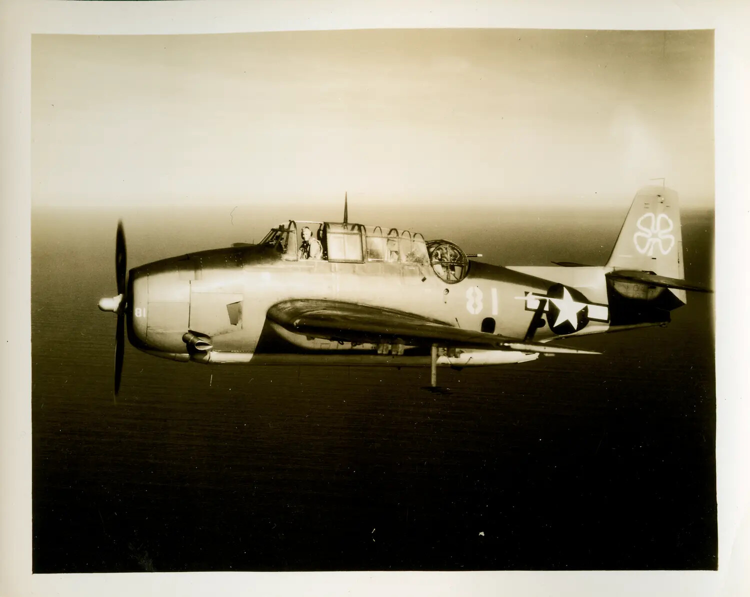 TBM/TBF Avenger Torpedo Bomber '81' in Flight, USS Petrof Bay (CVE-80) Air Group, WWII