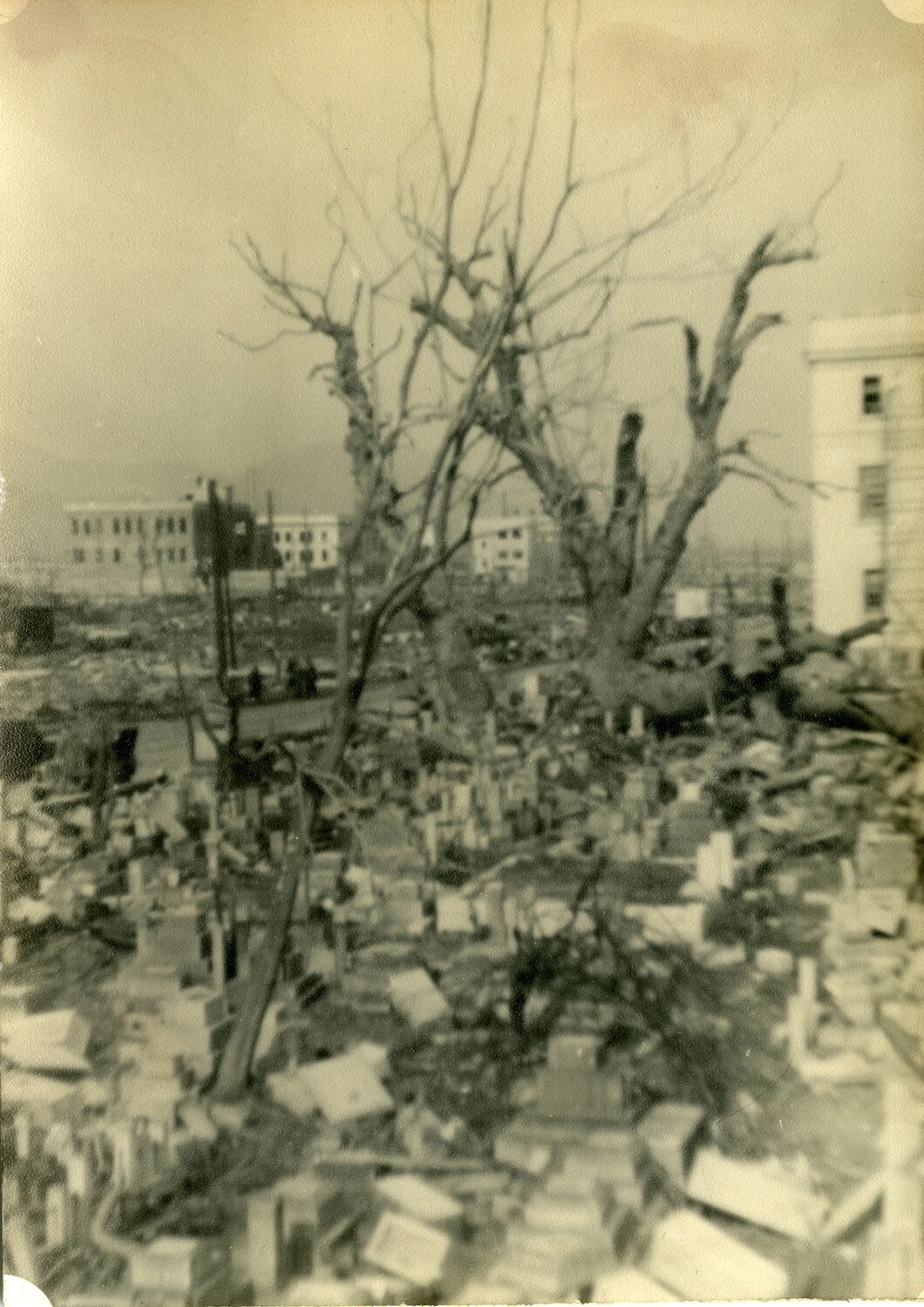 Devastated Landscape with Scorched Tree, Hiroshima, Japan