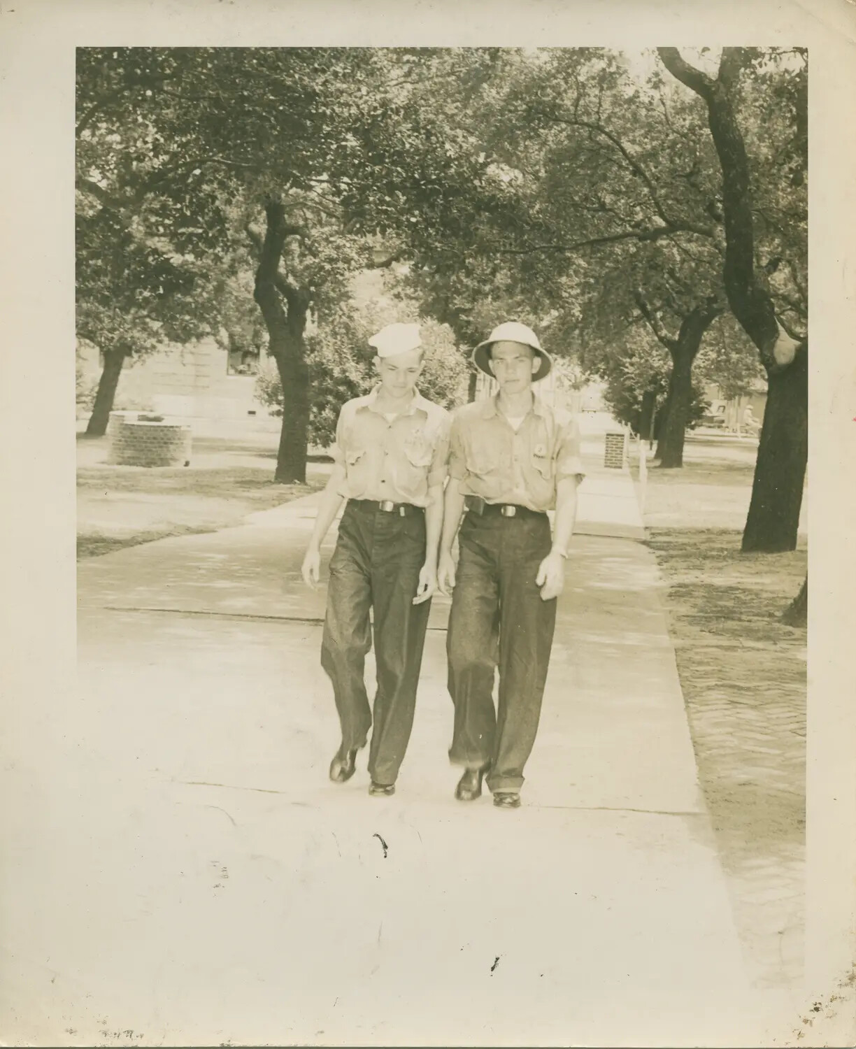 Two Sailors Walking a Tree-Lined Base Sidewalk – USS Petrof Bay (CVE-80) Collection, WWII Era