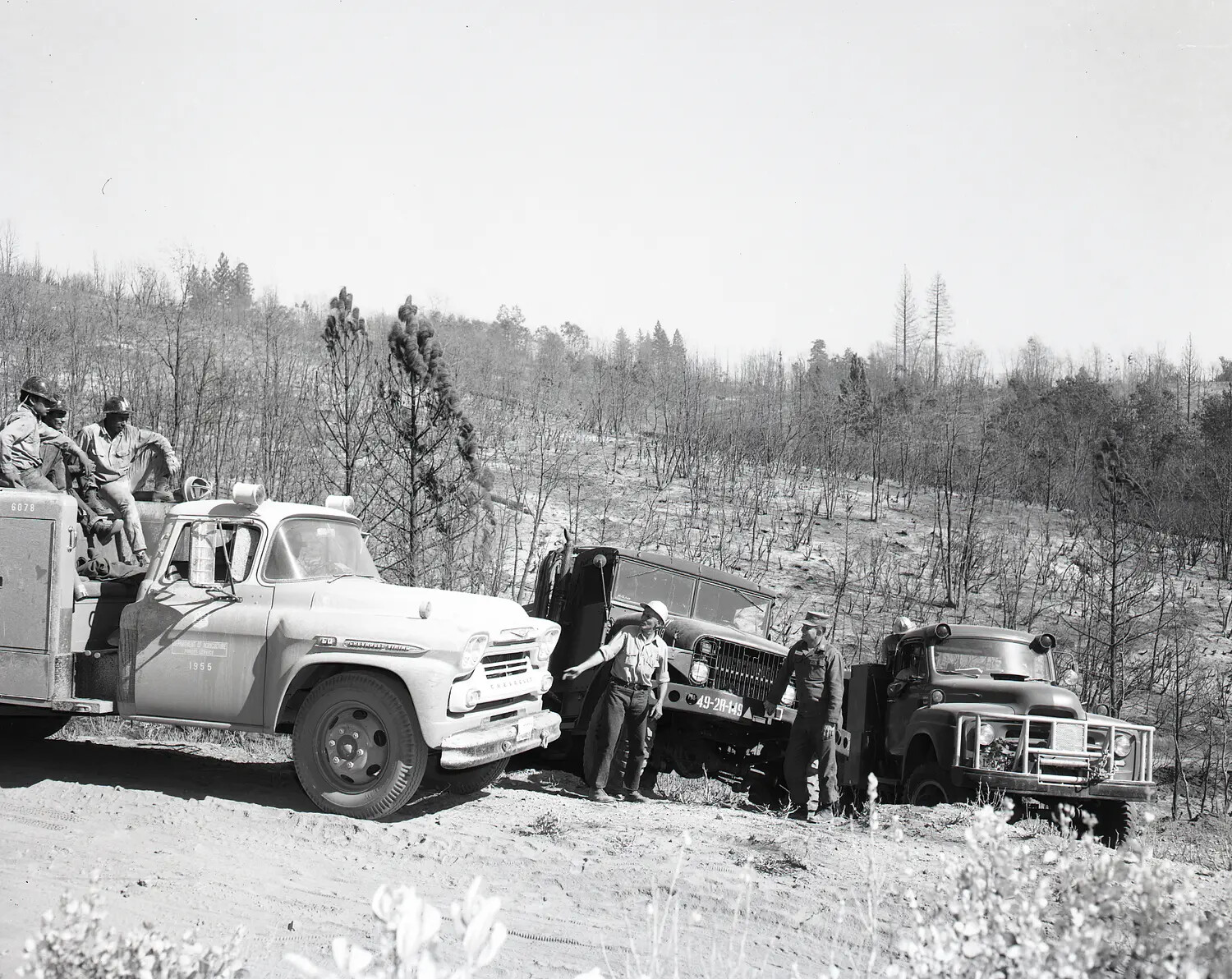 U.S. Forest Service and Army National Guard Fire Convoy on Burned Hillside