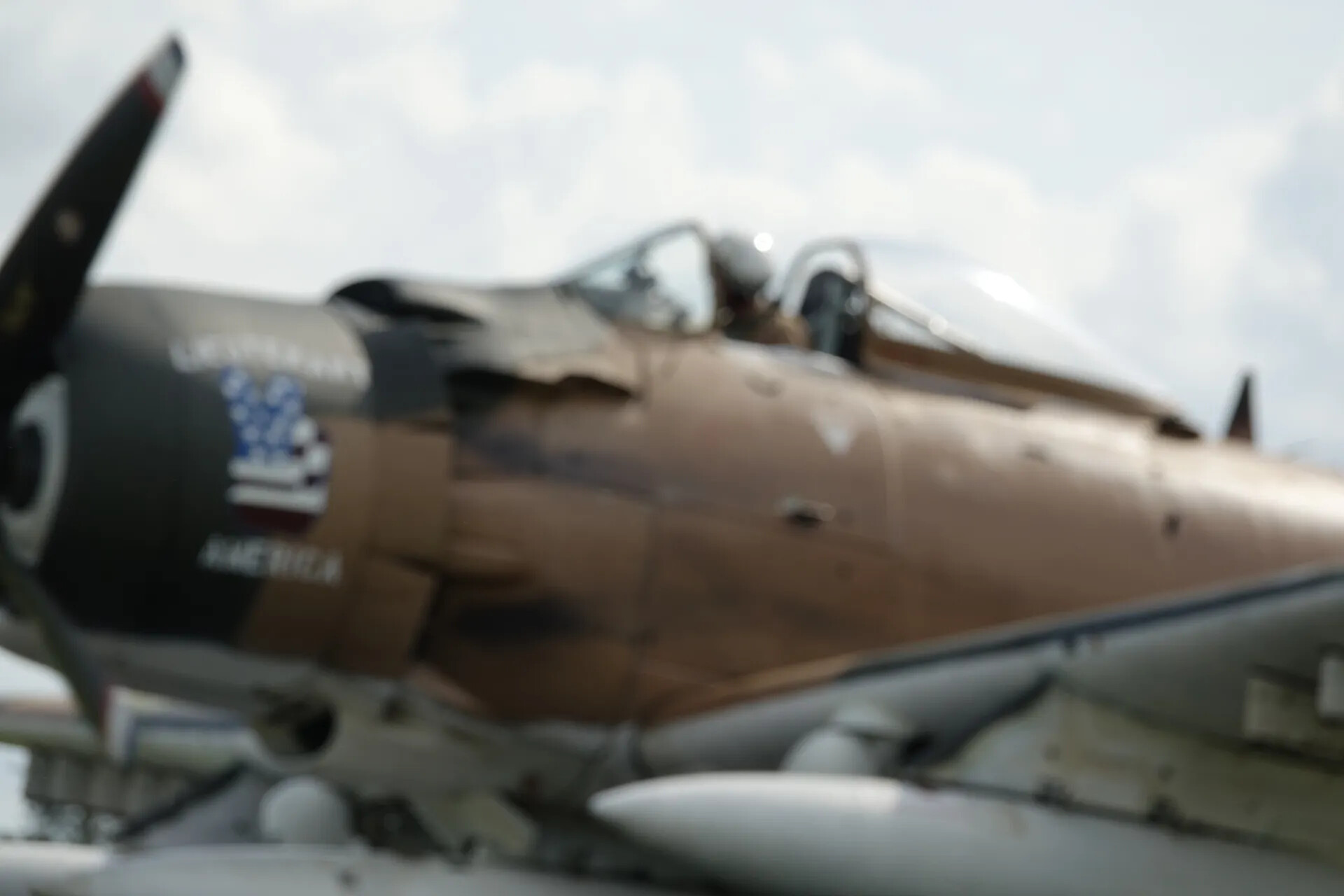 A-1 Skyraider Nose Art Detail (Soft Focus) — May 2019 Warbird Event