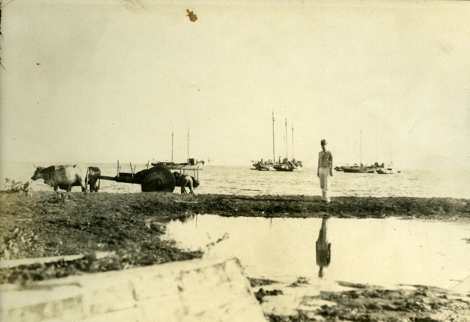 American Serviceman on Tropical Shoreline with Ox Cart and Anchored Sailing Vessels, Nicaragua