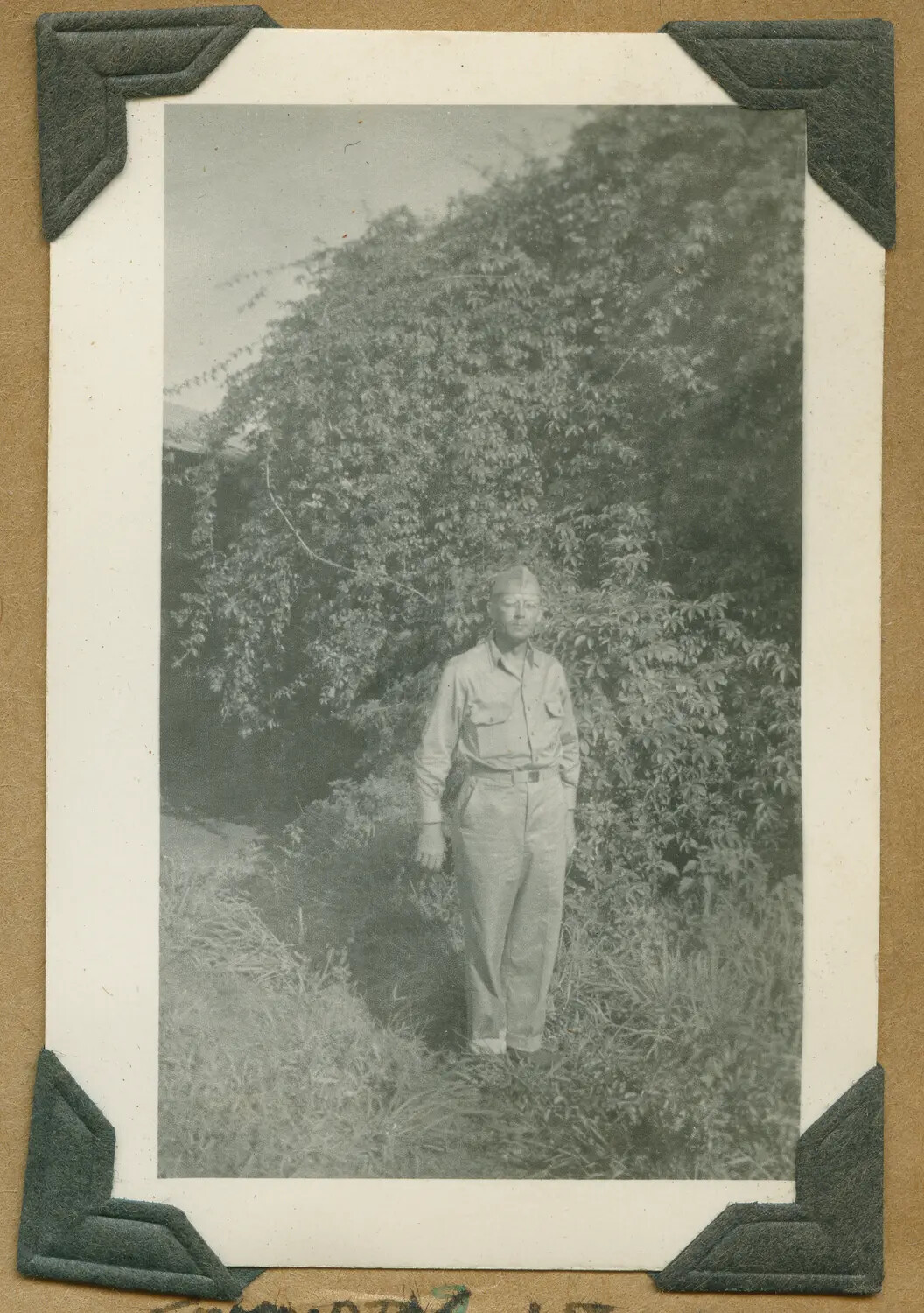 Soldier Portrait Before Flowering Hedge, Dated January 1, 1943, Hawaii