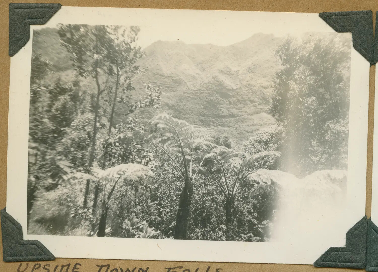 "Upside Down Falls" -- Tropical Mountain Waterfall Scene, Hawaii