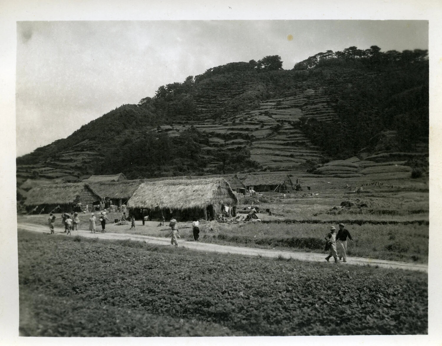 Thatched-Roof Okinawan Village and Terraced Hillside, Okinawa, WWII Era