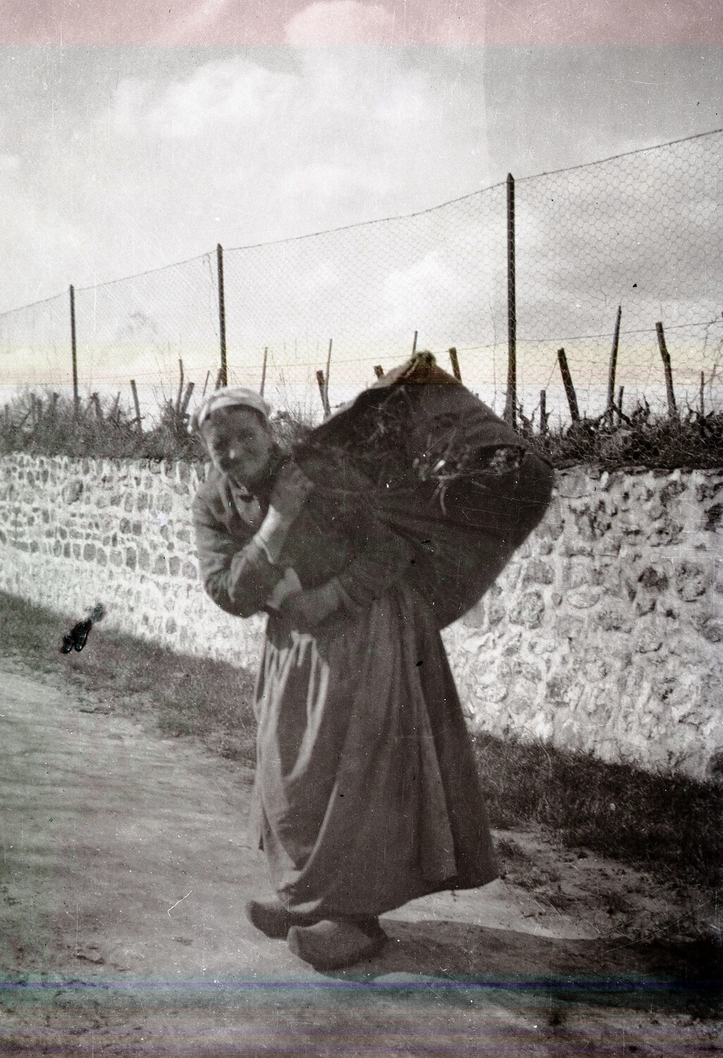 French Countrywoman Carrying Bundle of Vine Cuttings Along a Rural Lane, WWI-Era France