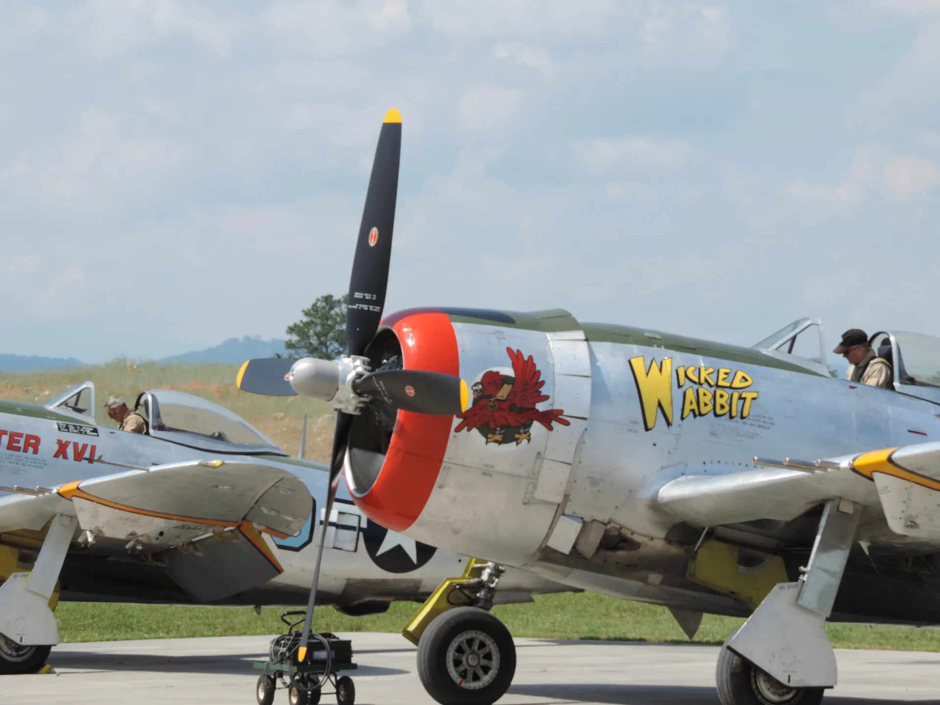 P-47 Thunderbolt "Wicked Wabbit" - Nose Art and Cowl Detail with "Hun Hunter XVI" Alongside