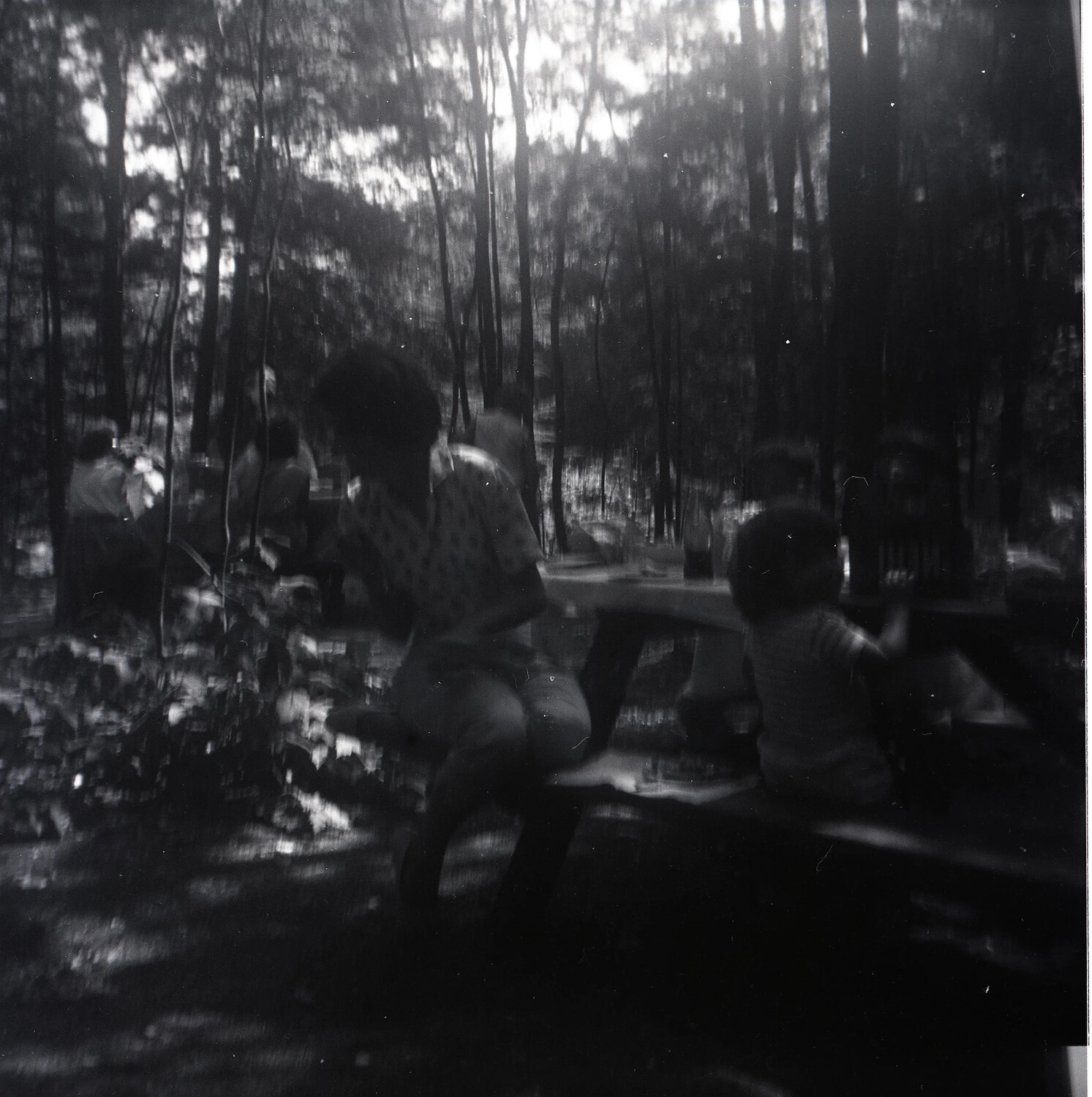 Family Picnic in the Woods, Blurred Snapshot, Mid-20th Century