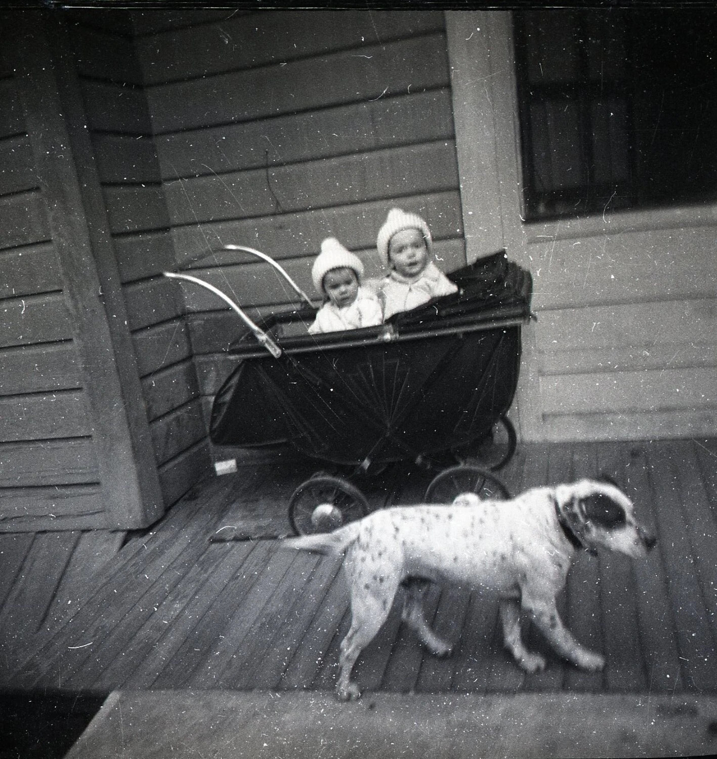 Two Children in a Twin Baby Carriage with Family Dog on Porch, Jack T. Kelley Family Album