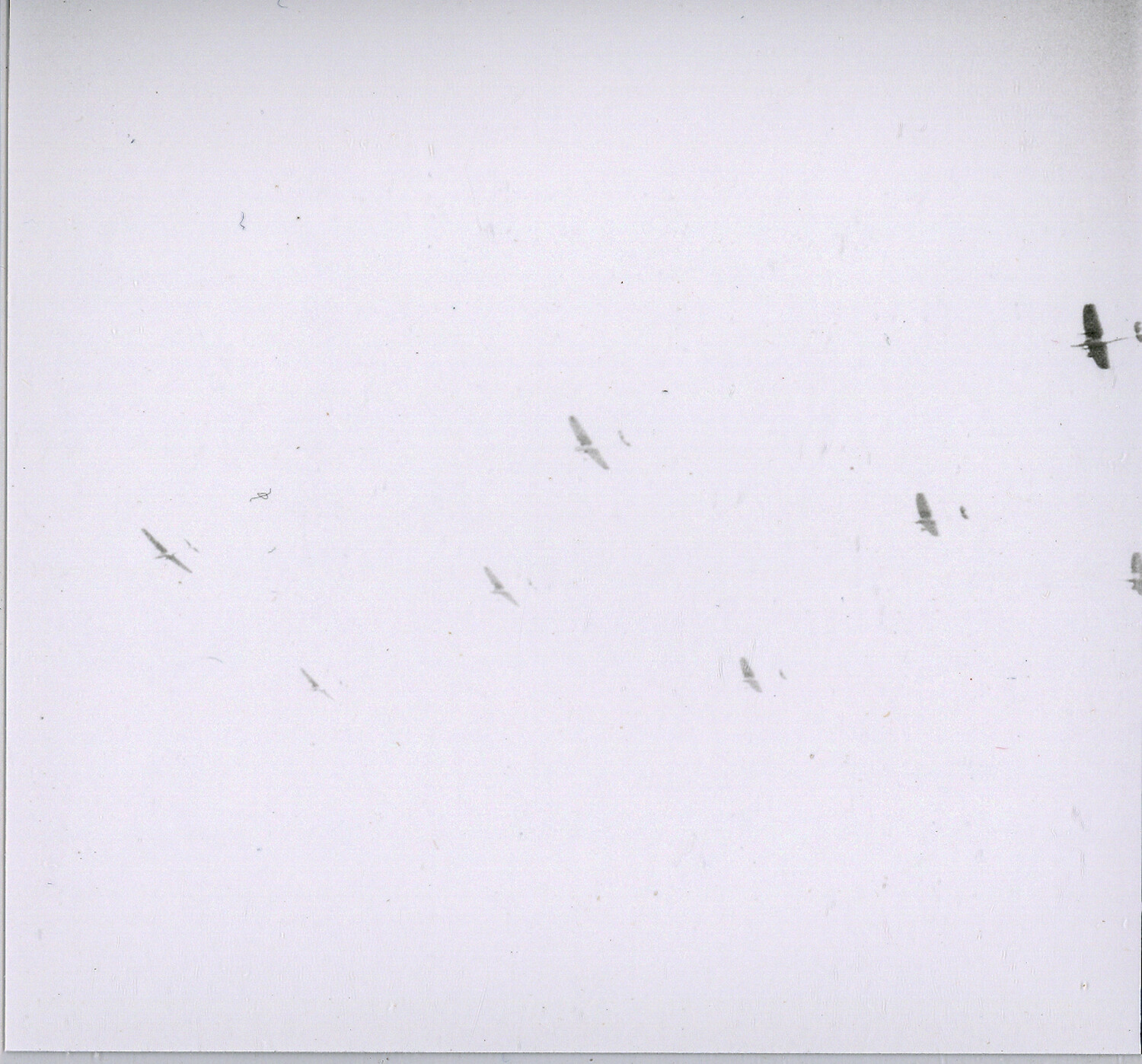 Faded Aerial Photograph of Bomber Formation in Flight, Nurnberg Photo Collection, WWII