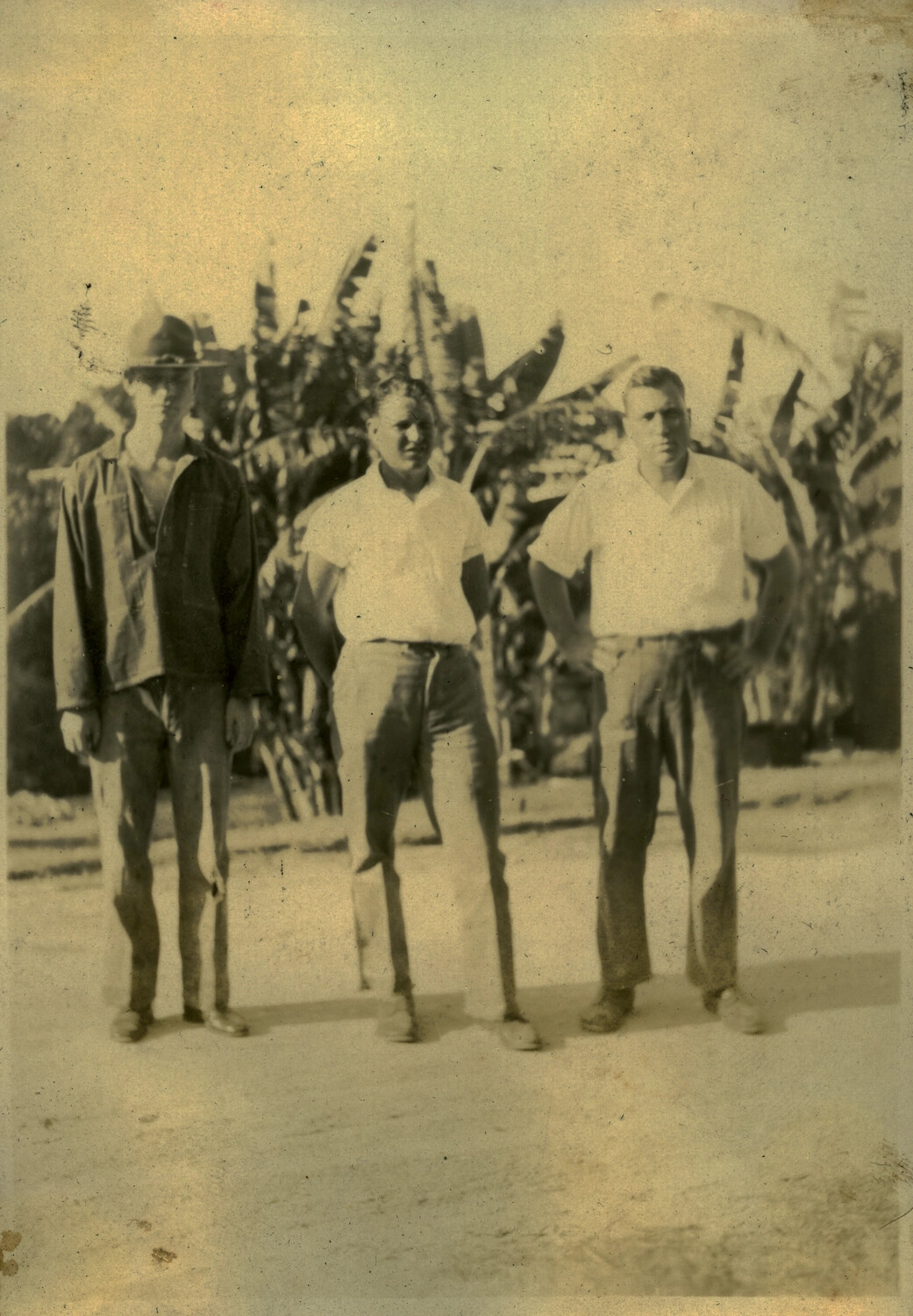 Three Men Posing Before Banana Plants, Philippines, Early-Mid 20th Century