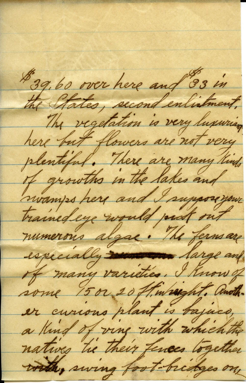 Handwritten Letter Page Describing Overseas Pay and Tropical Vegetation, Wagener Family Correspondence