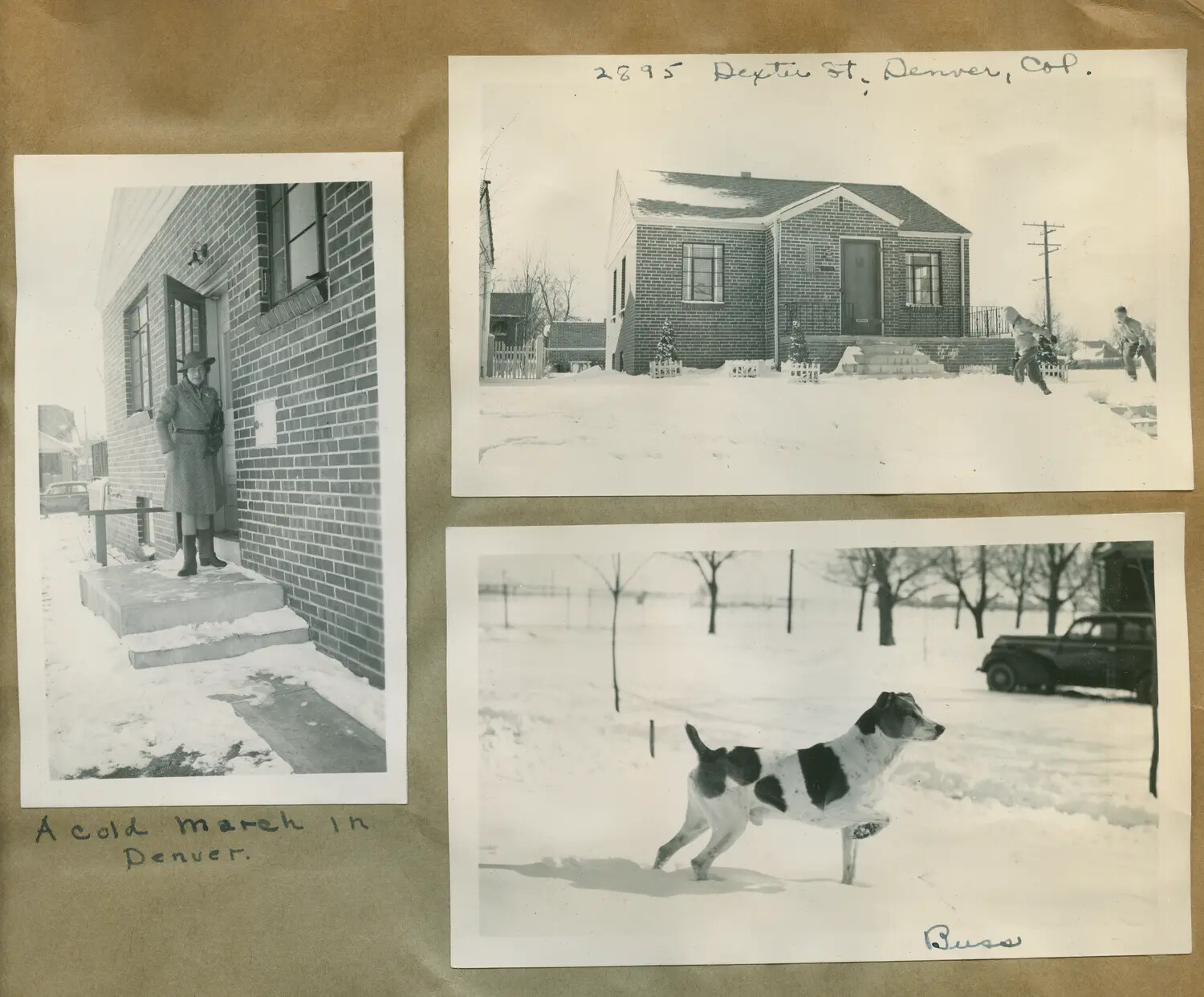Winter Snapshots at Home in Denver, Colorado