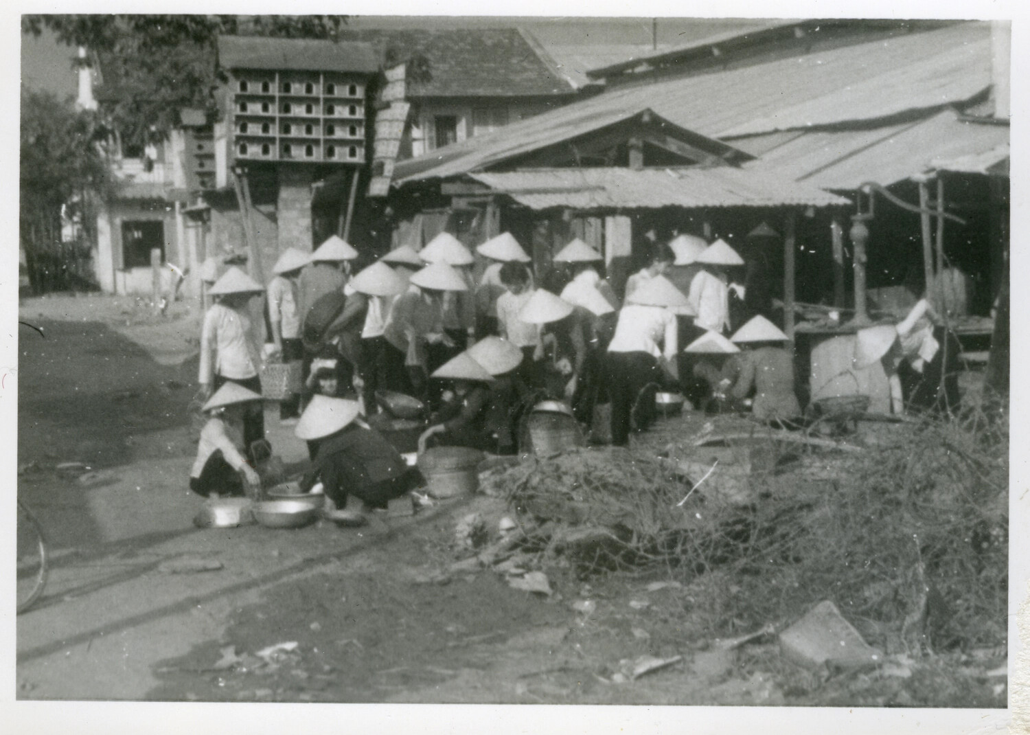 218727-VIET NAM 2
