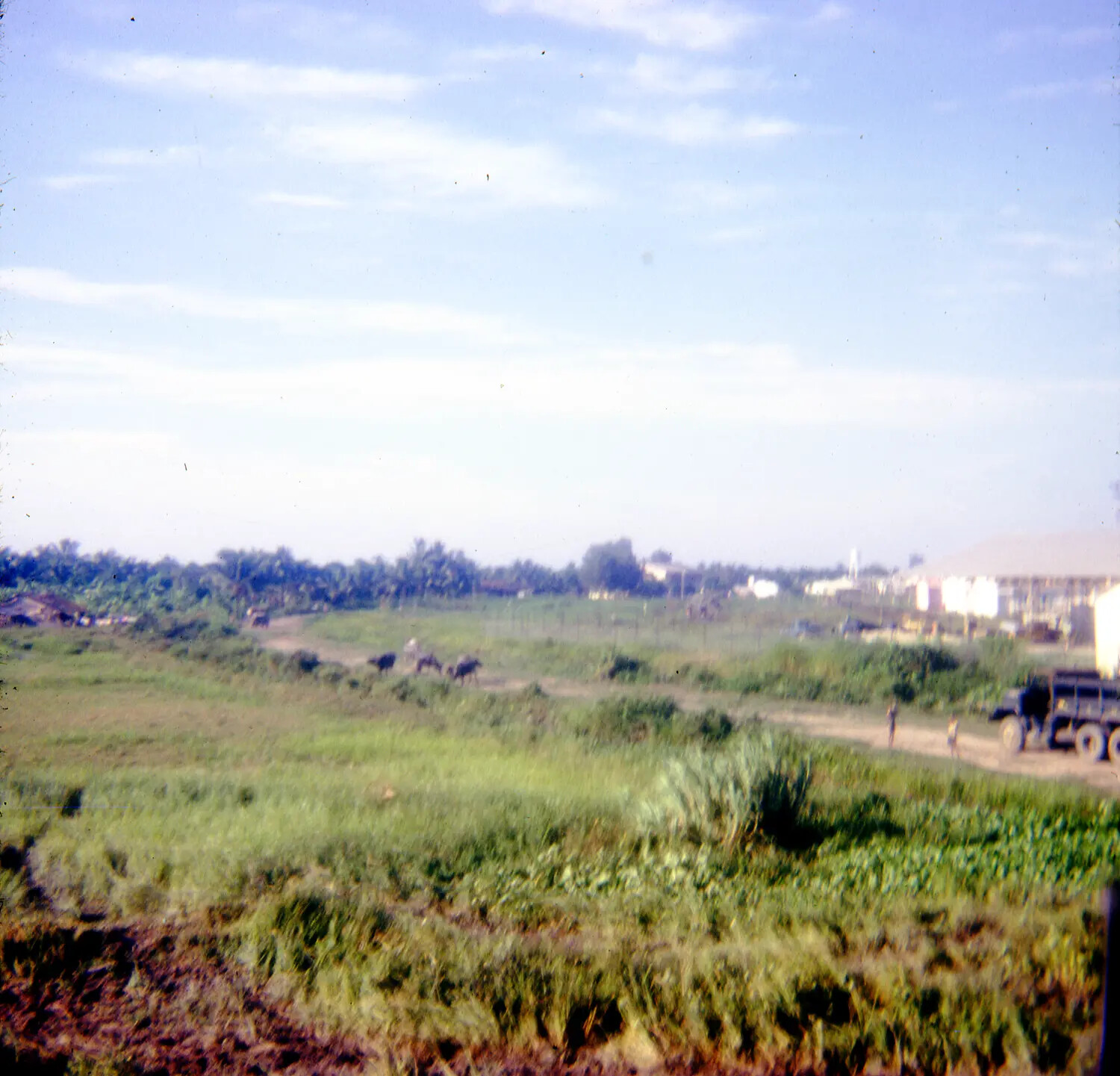 Rural Vietnamese Landscape with Water Buffalo and US Army Truck, Vietnam War Era