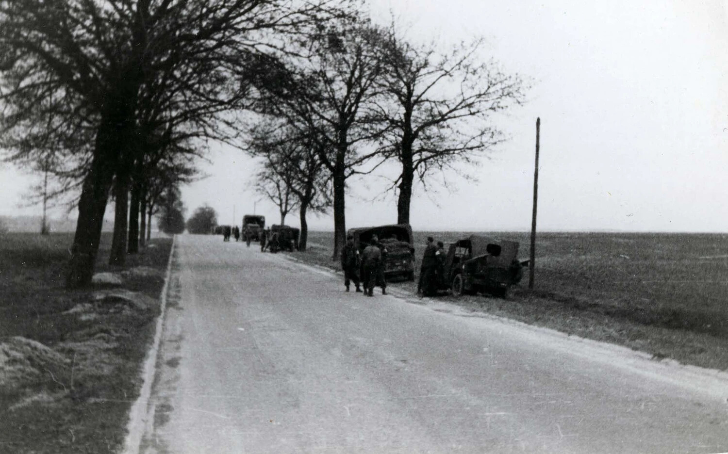 U.S. Army Convoy Halted on Tree-Lined Road, European Theater, WWII