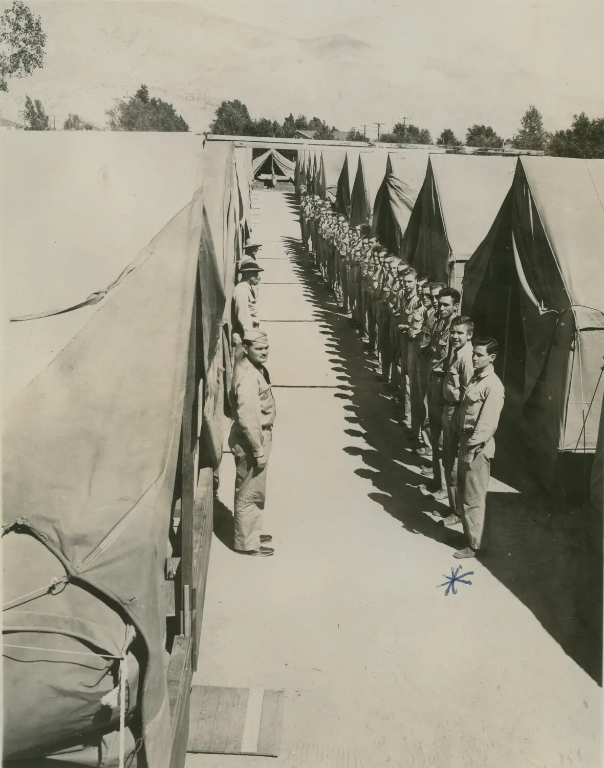 Military Trainees in Formation Outside Tent Row at Training Camp, McAleer Family Album