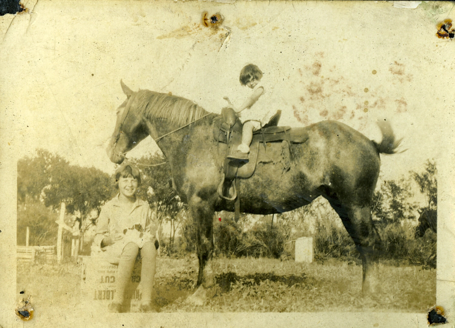 Children with Horse on Farmstead, Manila Photo Album (Family Snapshot, Early 20th Century)