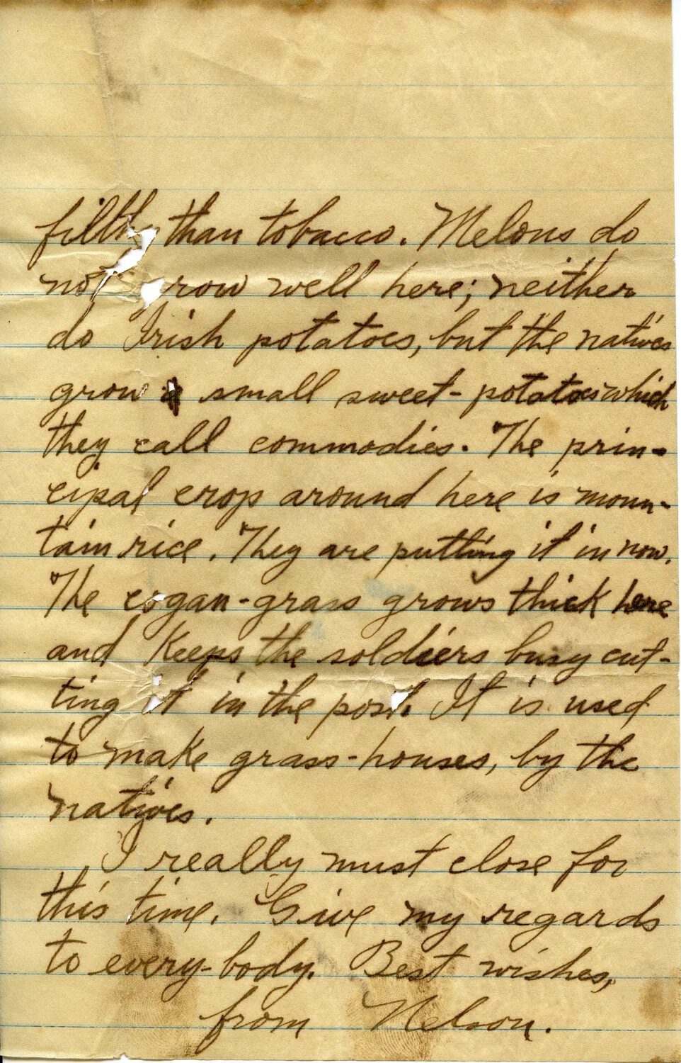 Handwritten Letter Describing Philippine Agriculture and Military Post Life, Dated February 10, 1911 (Wagener Family Correspondence)