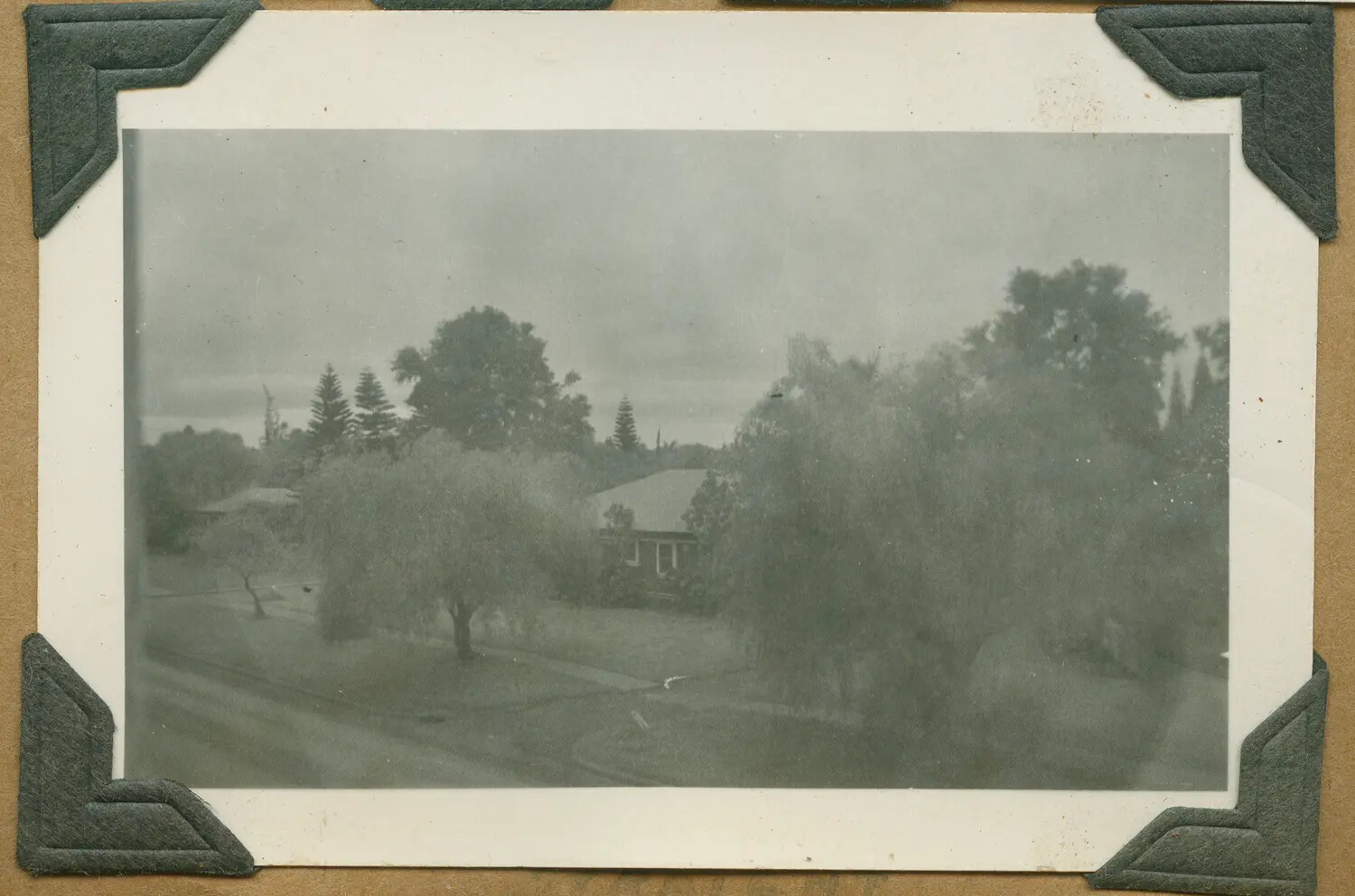 Bungalow Residence Framed by Trees, Oahu, Hawaii, World War II Era
