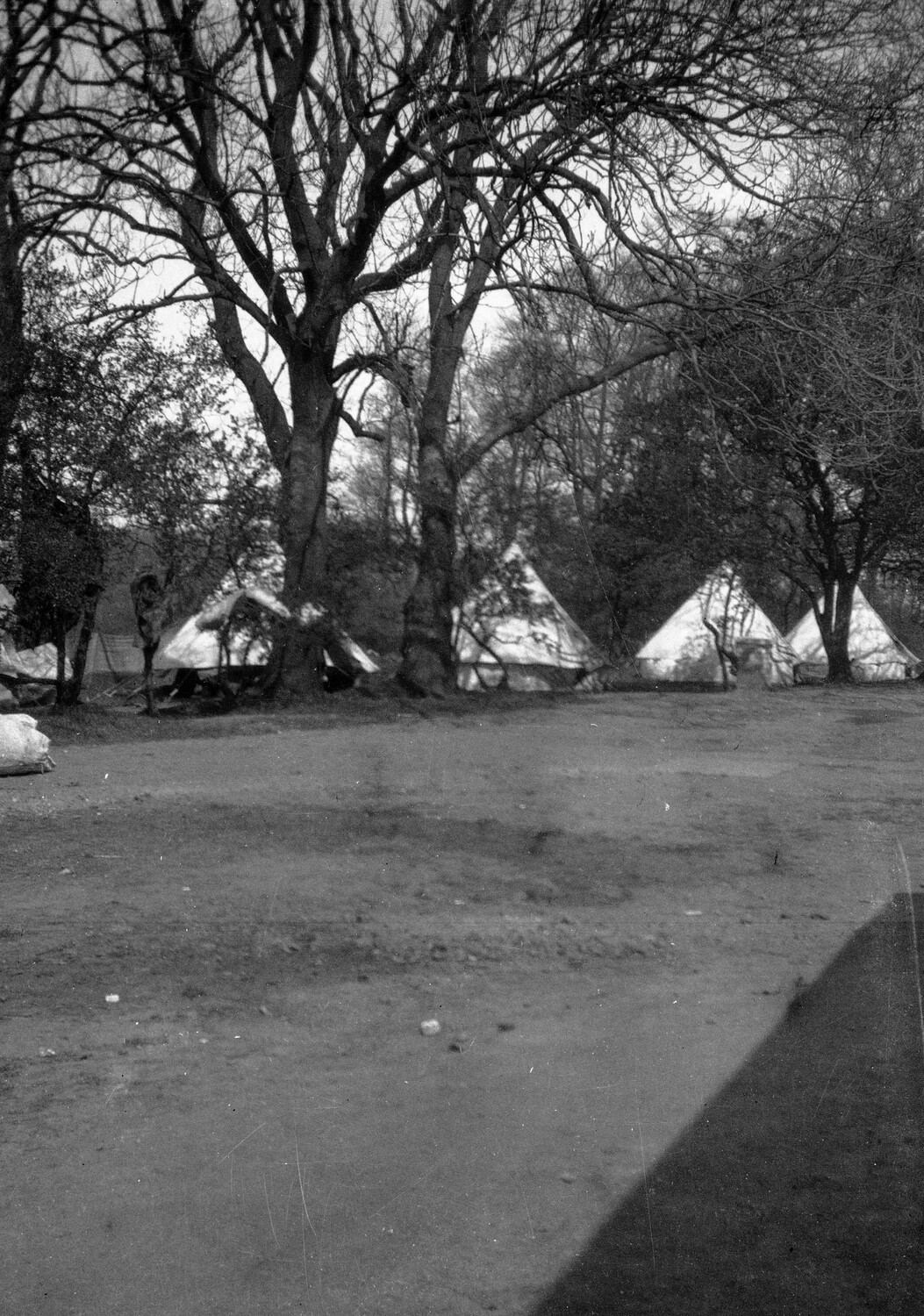WWI-Era Bell Tent Encampment Beneath Bare Trees, England - Scott Field Airmen Collection