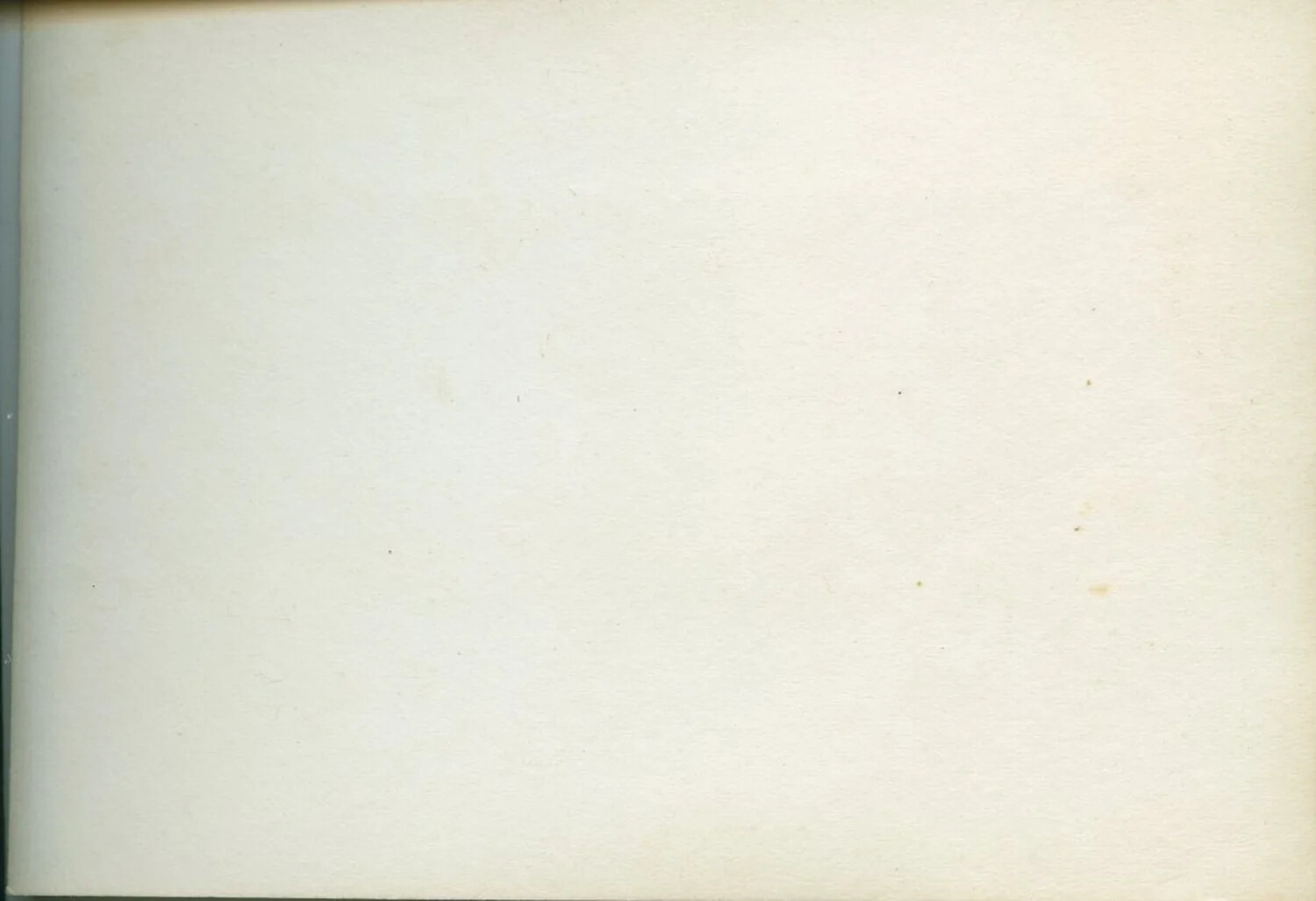 Blank Album Leaf or Photograph Verso, Leyte Gulf Photo Collection, WWII Era