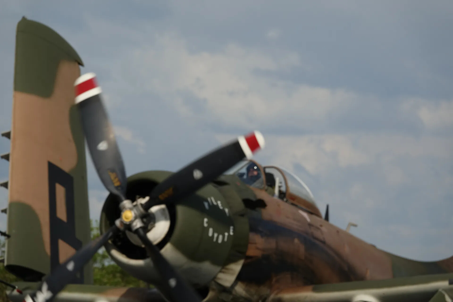 A-1 Skyraider "Wiley Coyote" Nose Art and Spinning Propeller, Airshow Event
