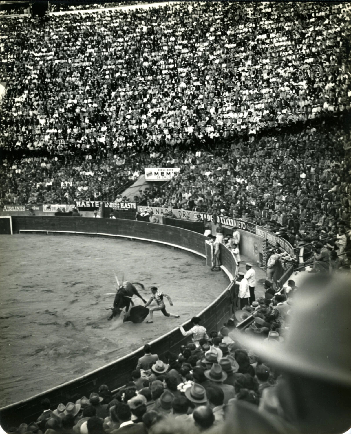 Bull with Banderillas Confronting Matador Near the Barrera, Mexico City Bullring, 1949