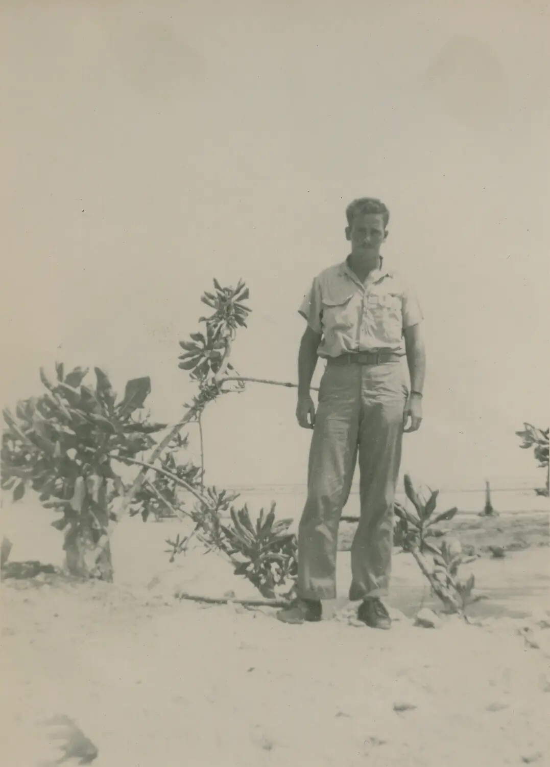 Serviceman Standing on Tropical Beach, Edward P. McAleer Album