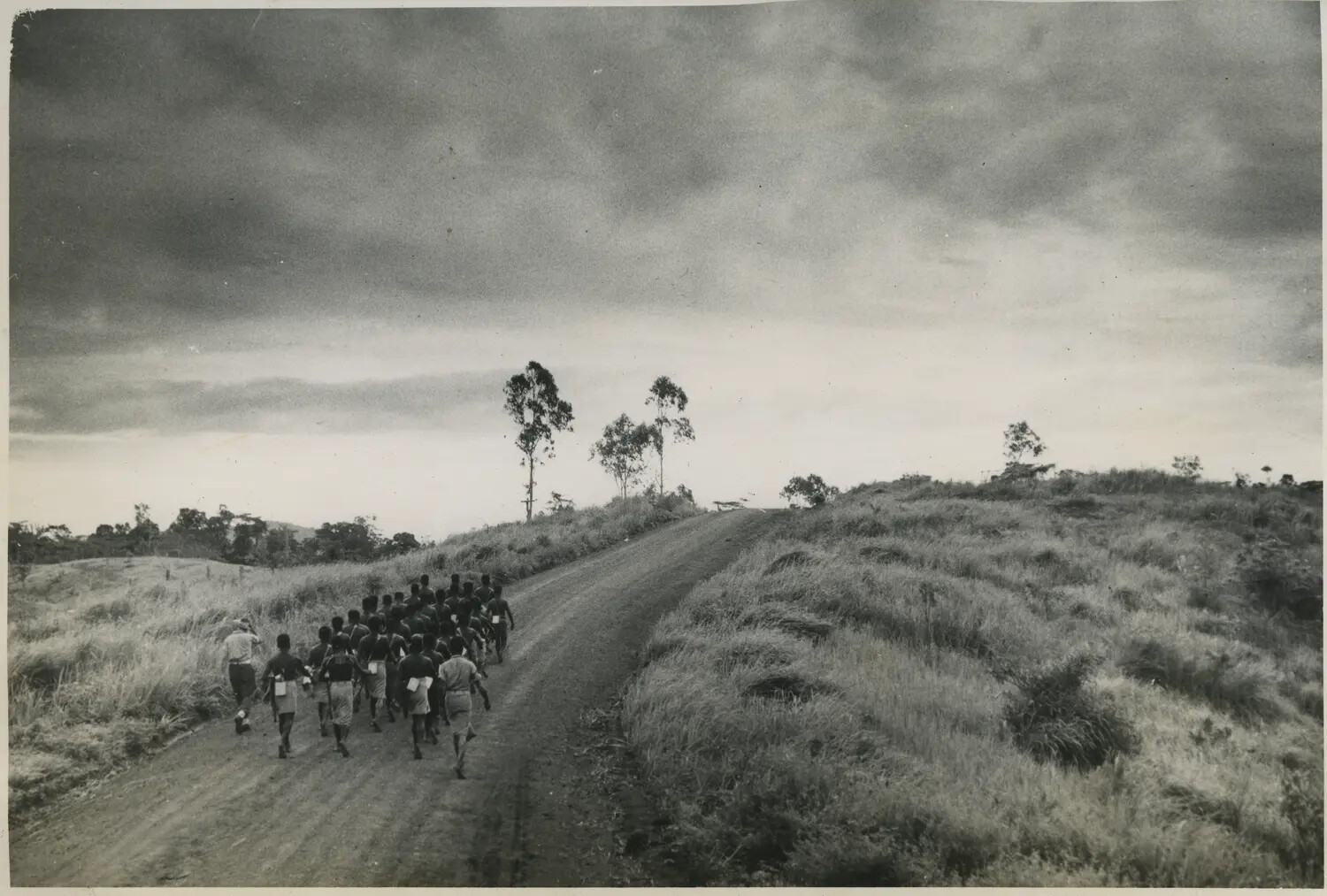 Column of Native Laborers on a New Guinea Road, 312th Bomb Group Collection, WWII