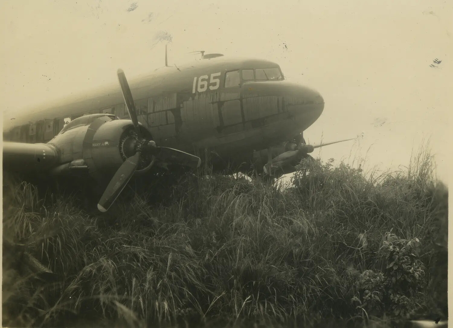 Abandoned C-47-Type Transport Aircraft 'Mary Ann,' No. 165, in Jungle Grass - 312th Bomb Group Area