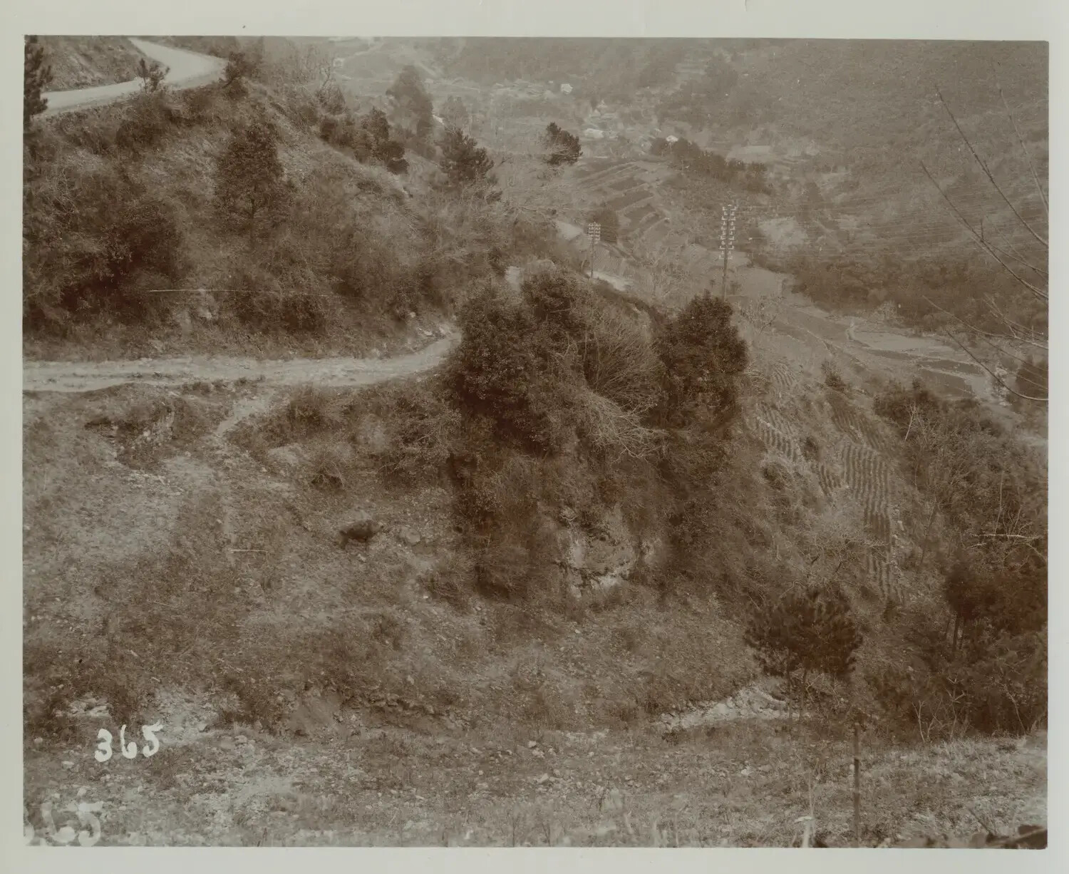 Mountain Road and Terraced Valley, Philippine Cordillera Highlands, c. 1890s-1900s