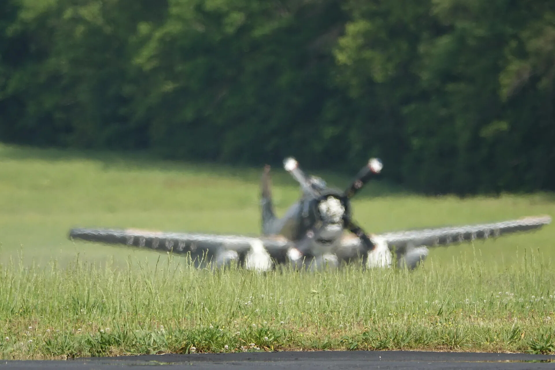 Douglas A-1 Skyraider, Soft-Focus Head-On View Near Treeline