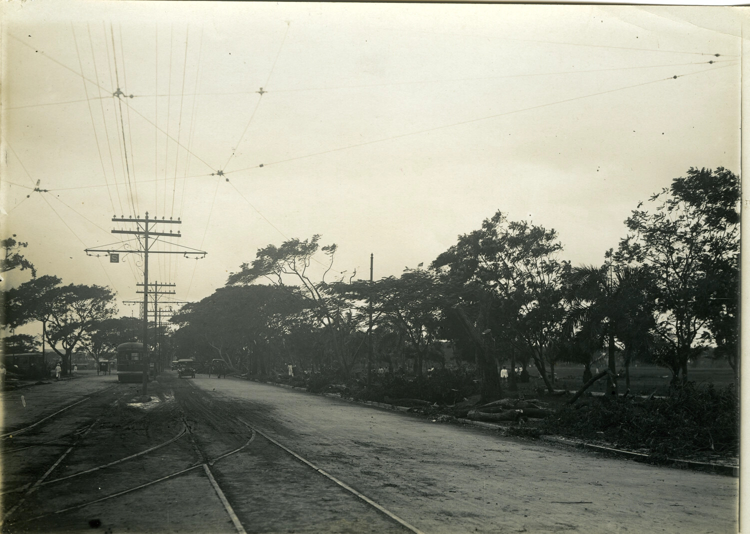 Storm-Damaged Boulevard with Tram Tracks and Downed Tree Limbs, Philippines, Early 1900s