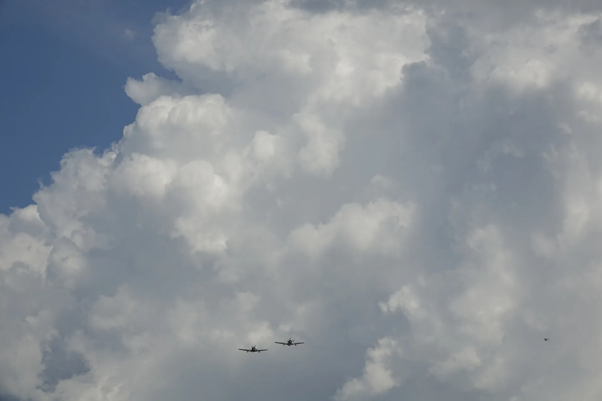 Formation of Vintage T-28 Trojan Aircraft in Flight, Commemorative Event