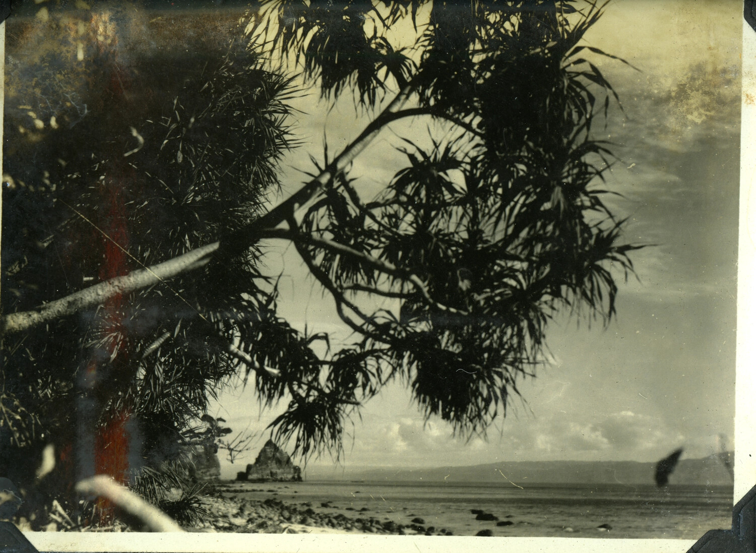 Tropical Beach Scene Framed by Pandanus Tree, Philippines, World War II Era