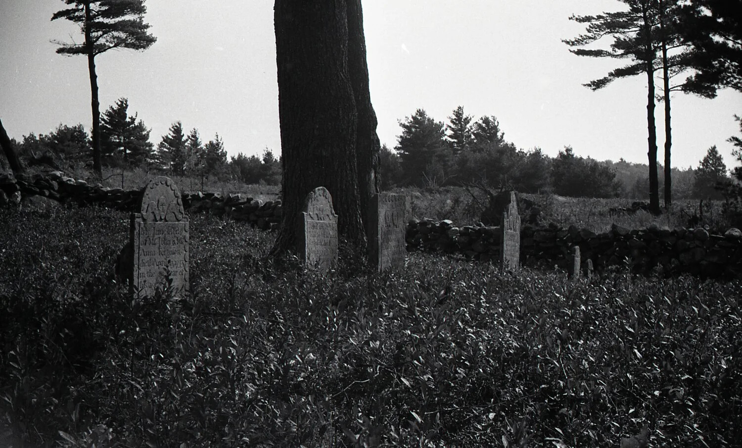 Colonial-Era Slate Headstones Beside Fieldstone Wall, New England Cemetery