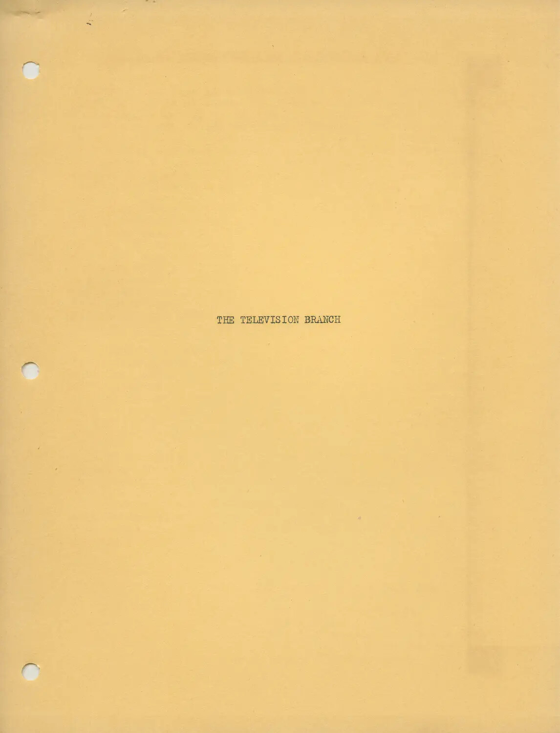 Section Divider Page: 'The Television Branch' — Armed Forces Radio and Television Service Document