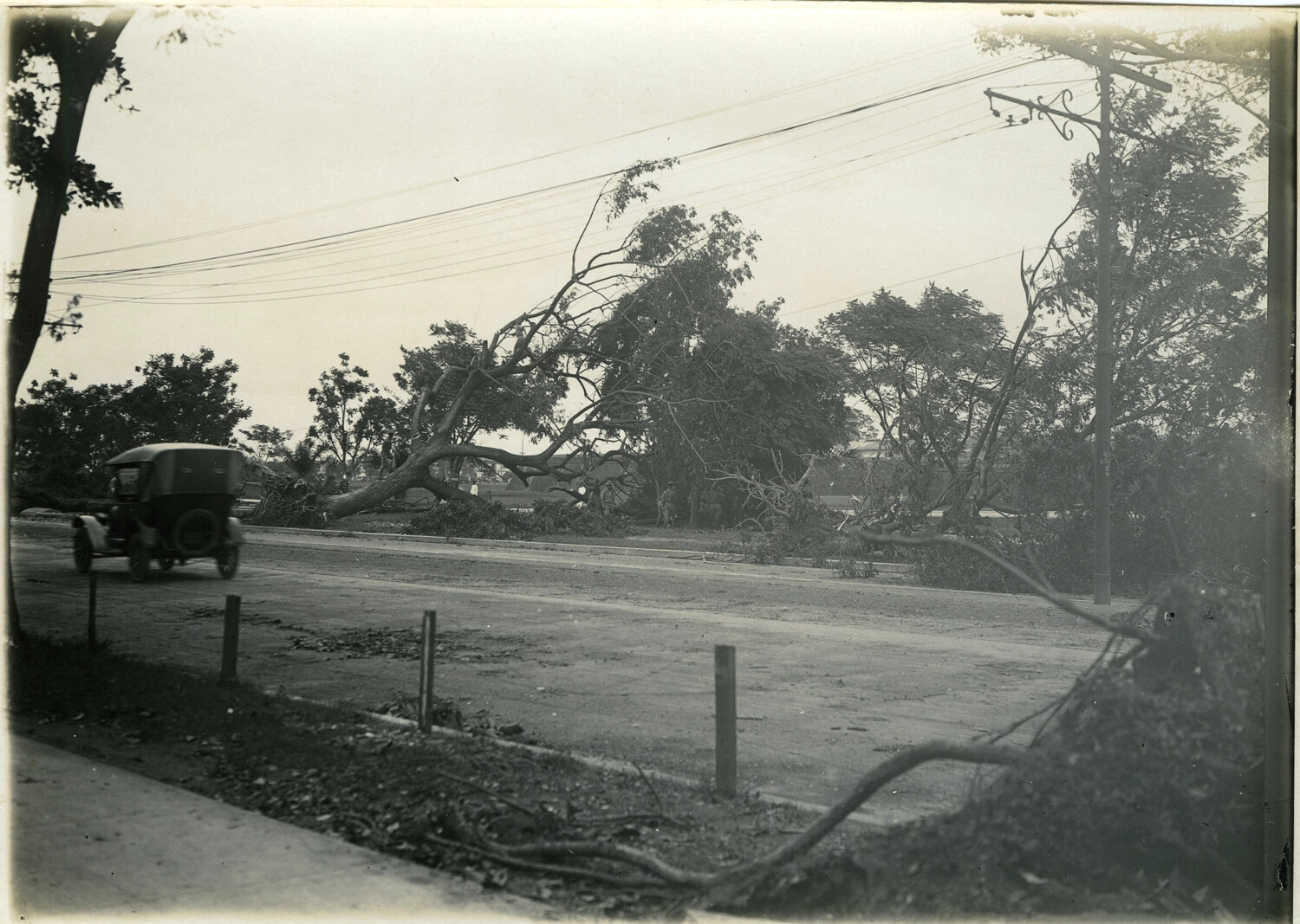Typhoon Storm Damage Along a Tree-Lined Boulevard, Philippines, Early 1900s