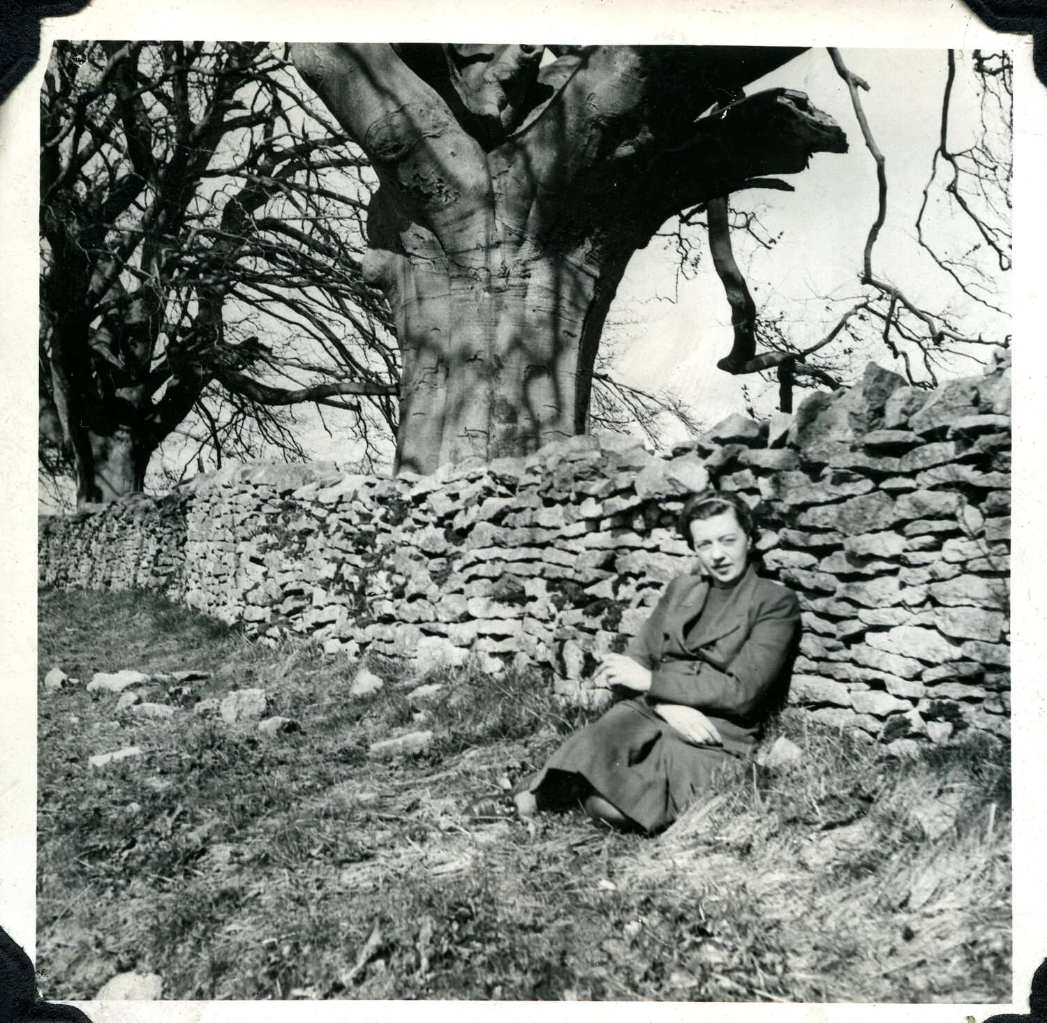 Woman Seated by Dry Stone Wall Beneath Old Tree, Jervey Signal Corps Album