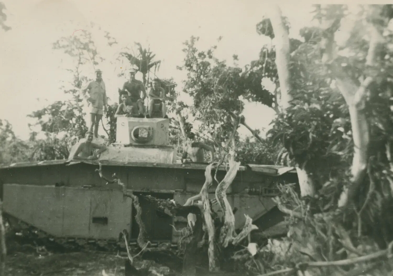 Servicemen Posing on Abandoned Light Tank in Jungle Terrain, Pacific Theater, WWII