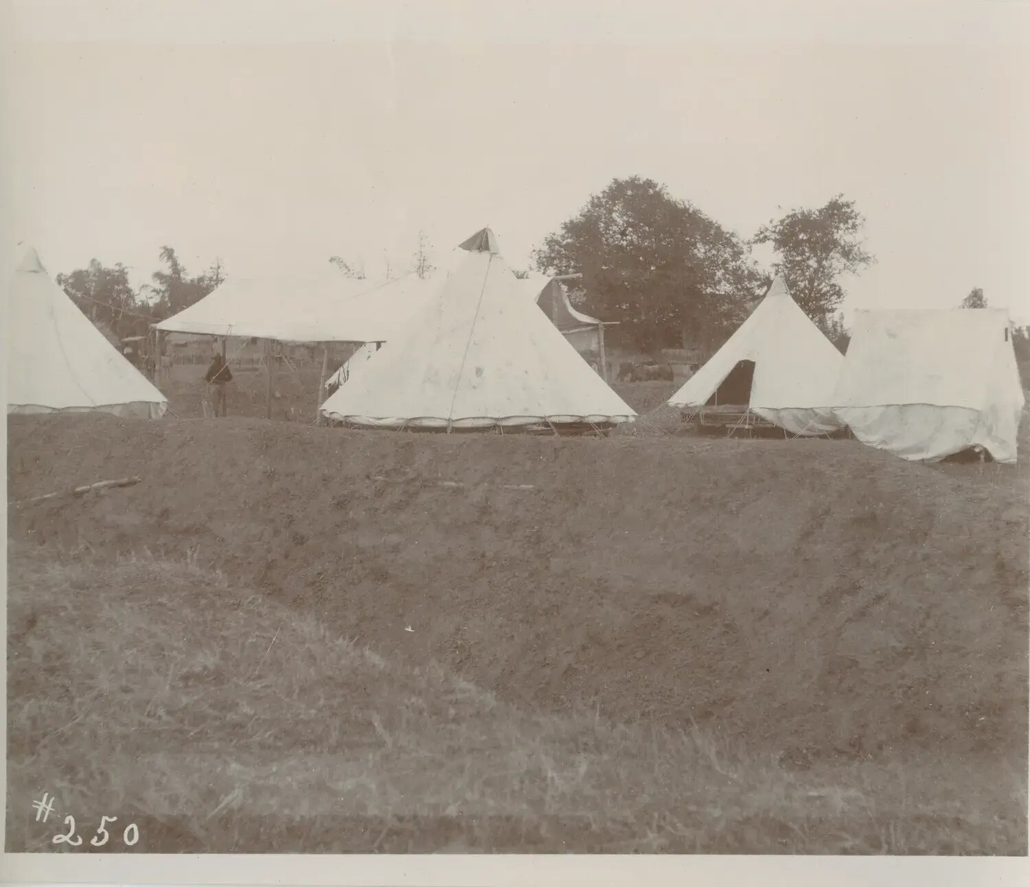 Military Encampment with Bell Tents, Possibly Philippines, Late 1890s-Early 1900s