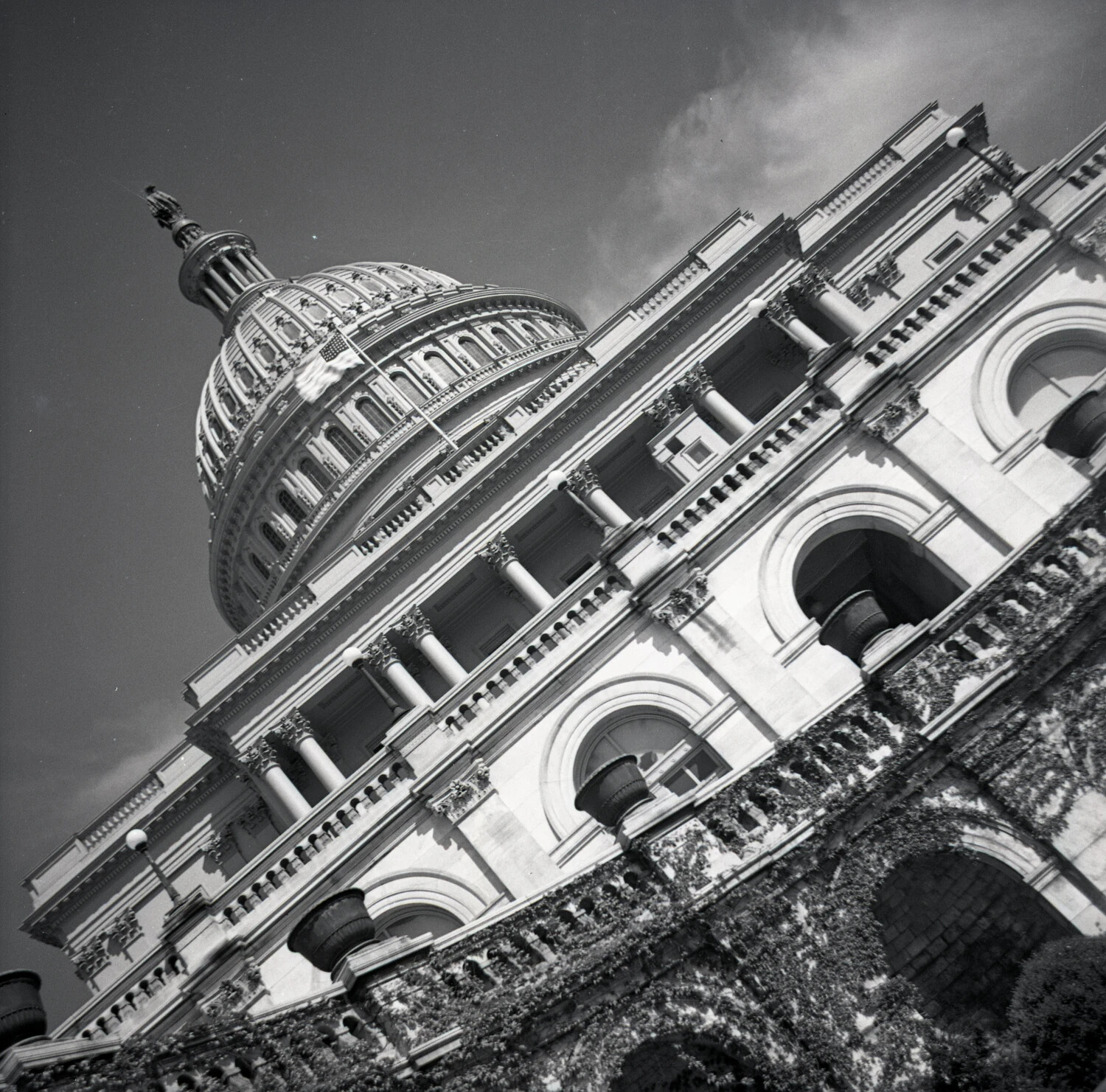 Low-Angle Architectural View of the U.S. Capitol Dome and Ivy-Covered Facade